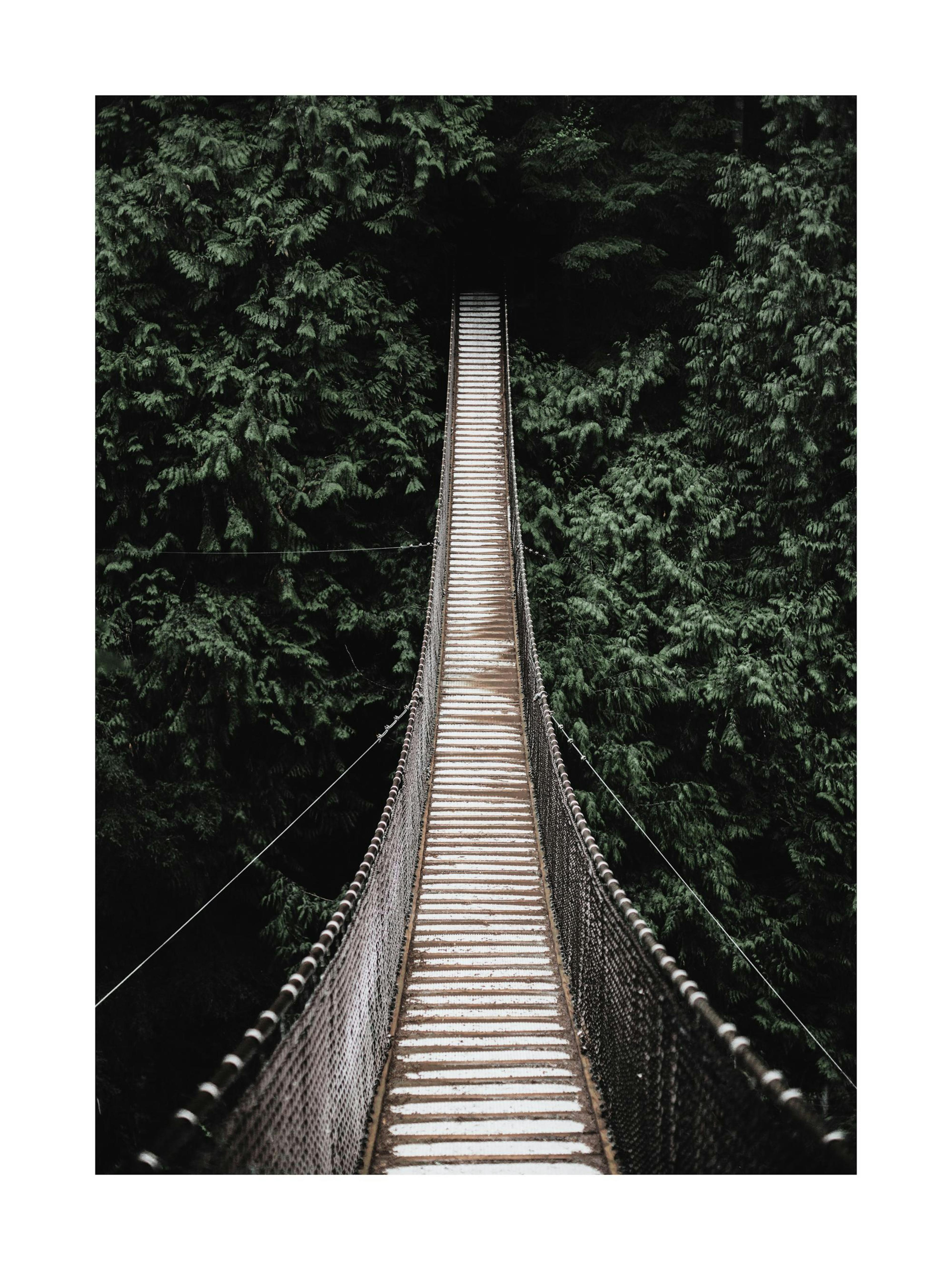 Puente en el bosque Poster thumbnail
