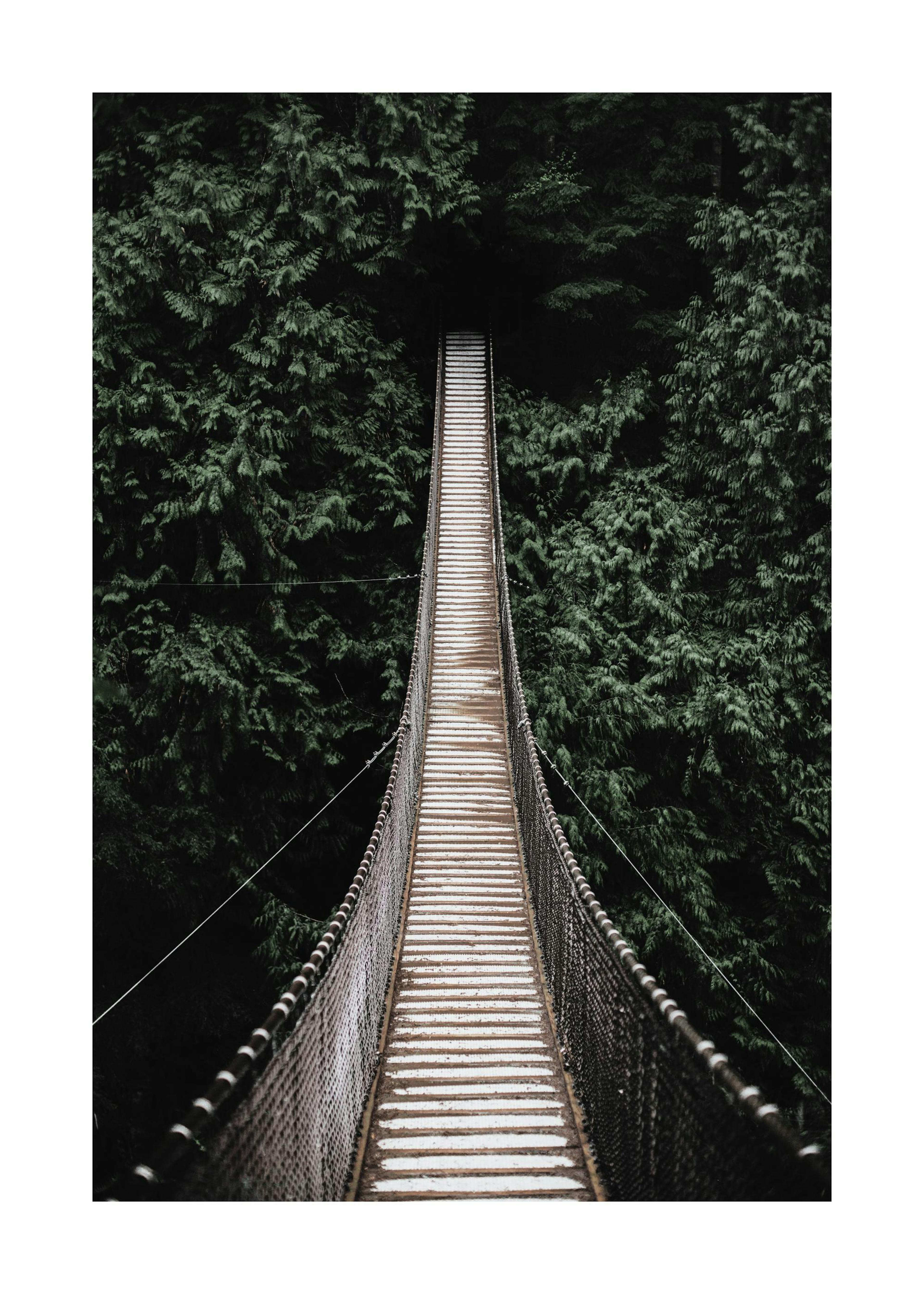 Forest bridge Poster 0