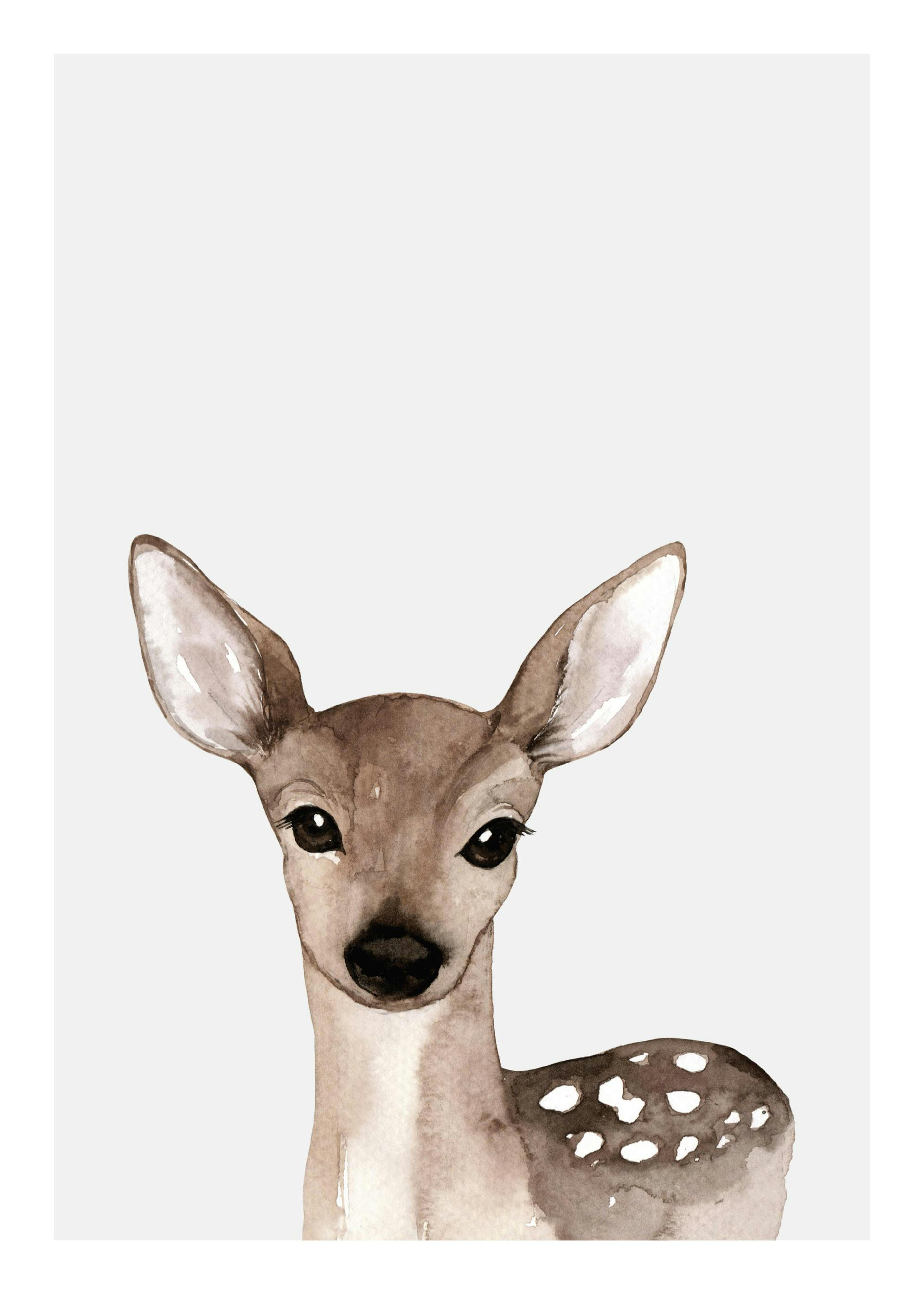 Little Deer Poster 0