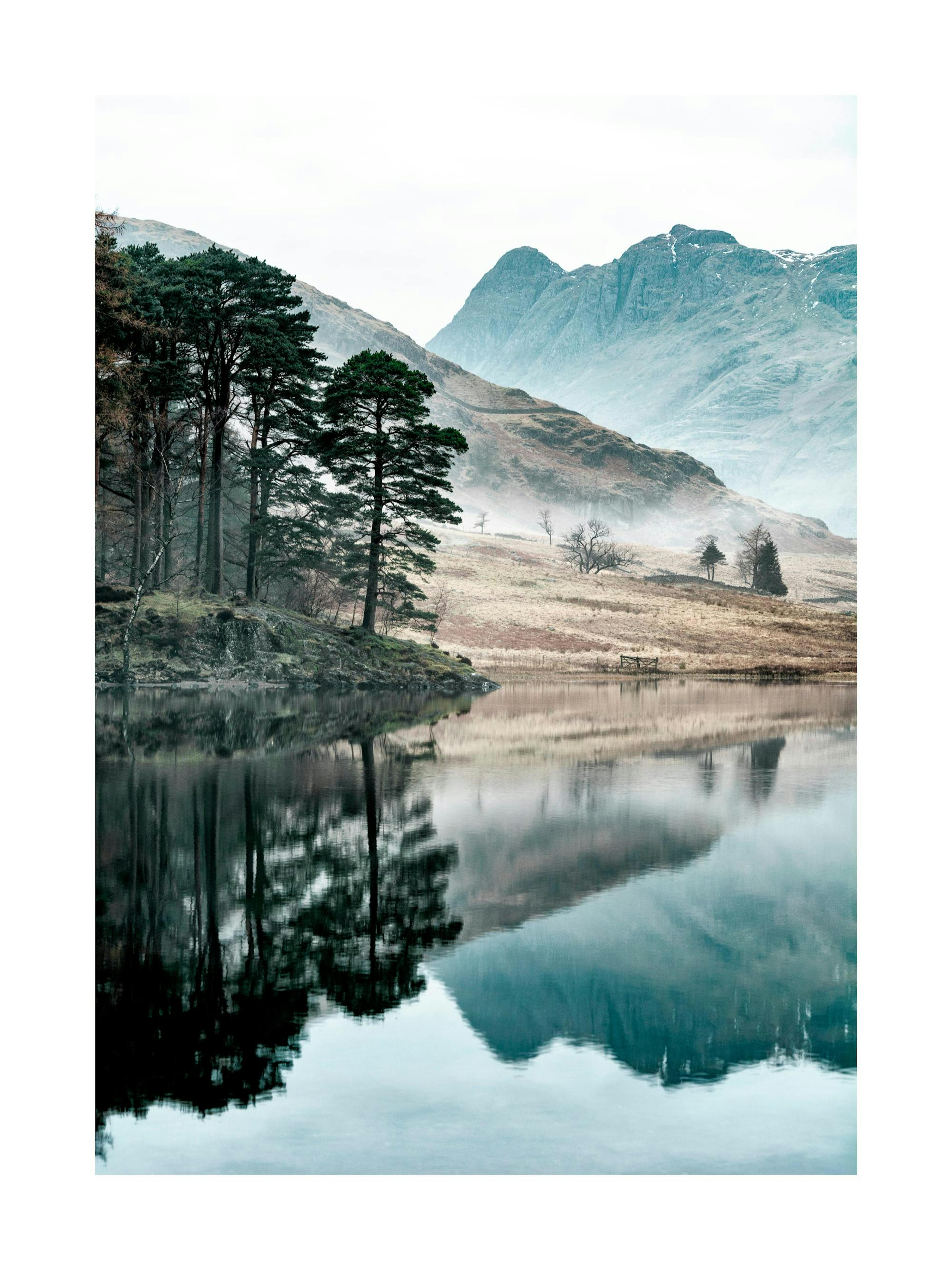 Trees by the lake Plakat 0
