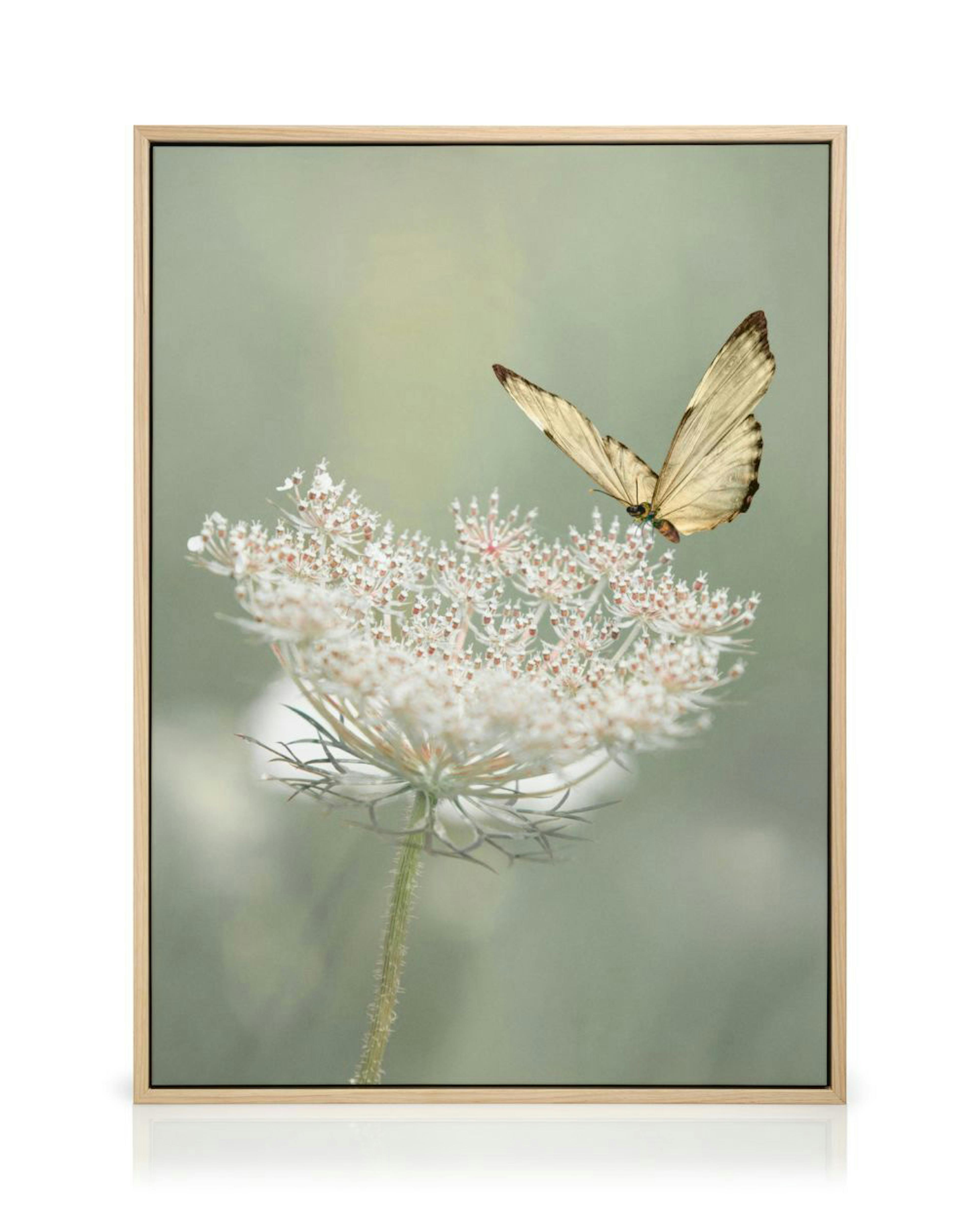 Product image: 1