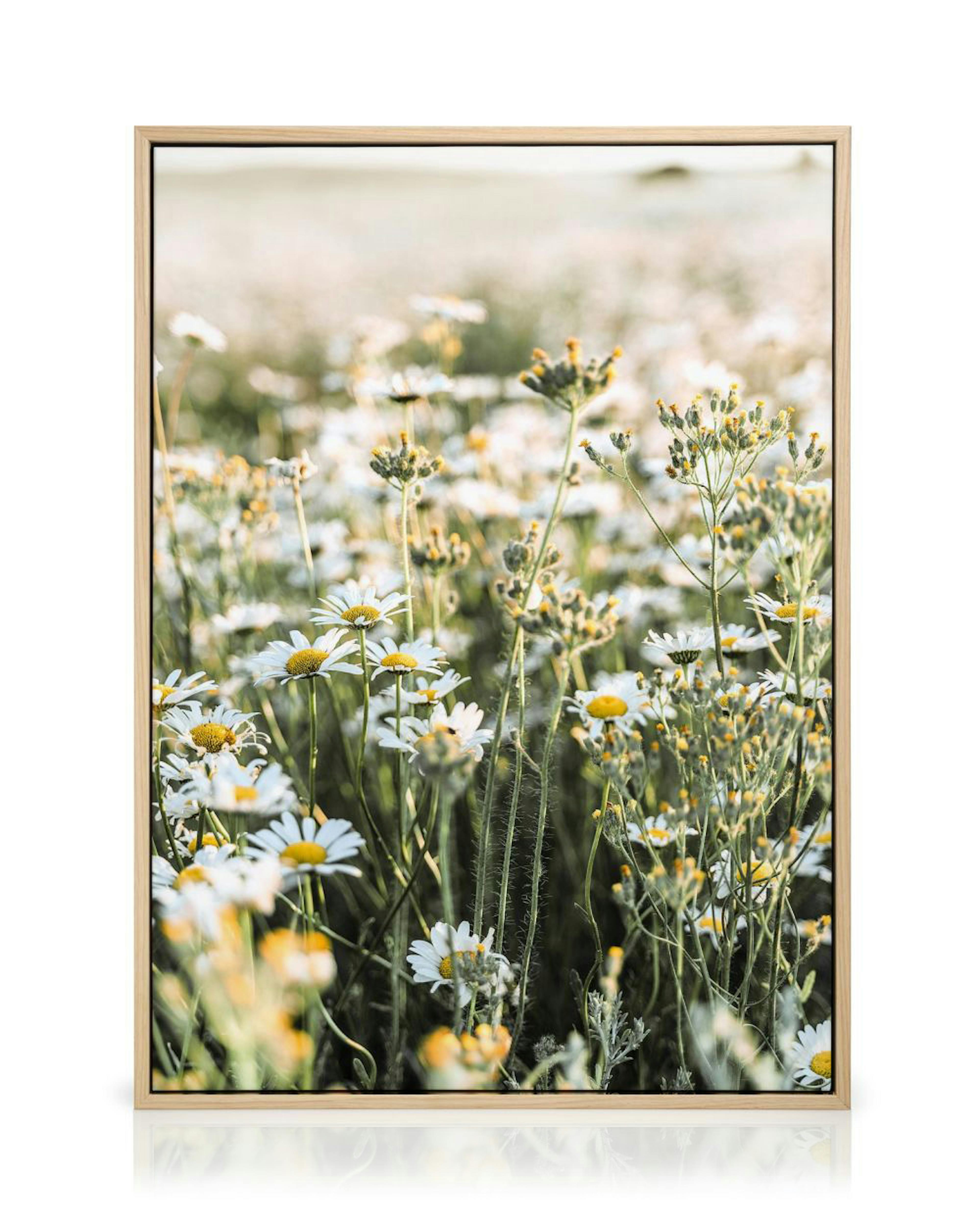 Product image: 1