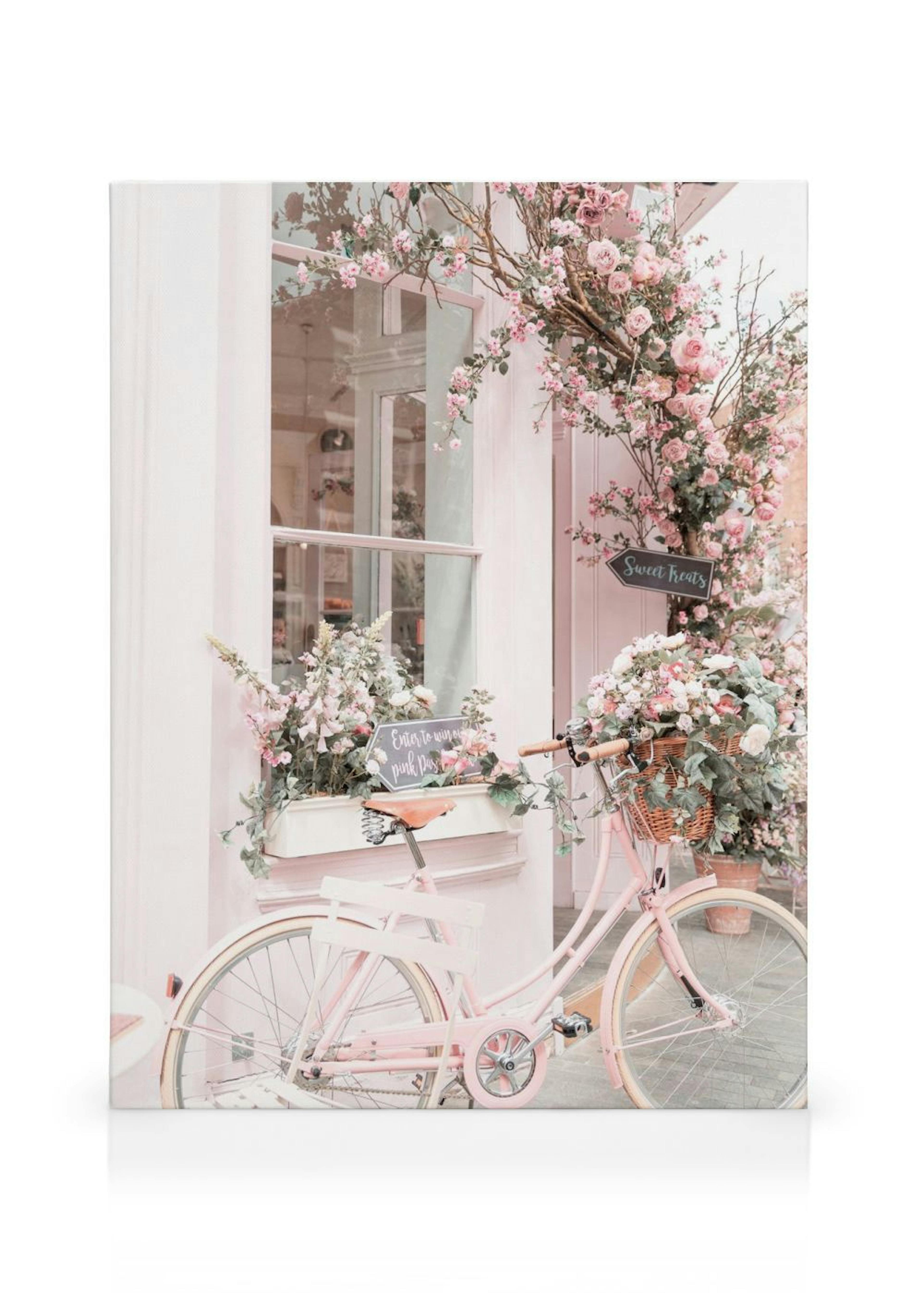 A light pink bicycle with a basket full of flowers, parked outside a pink building adorned with blooming roses.