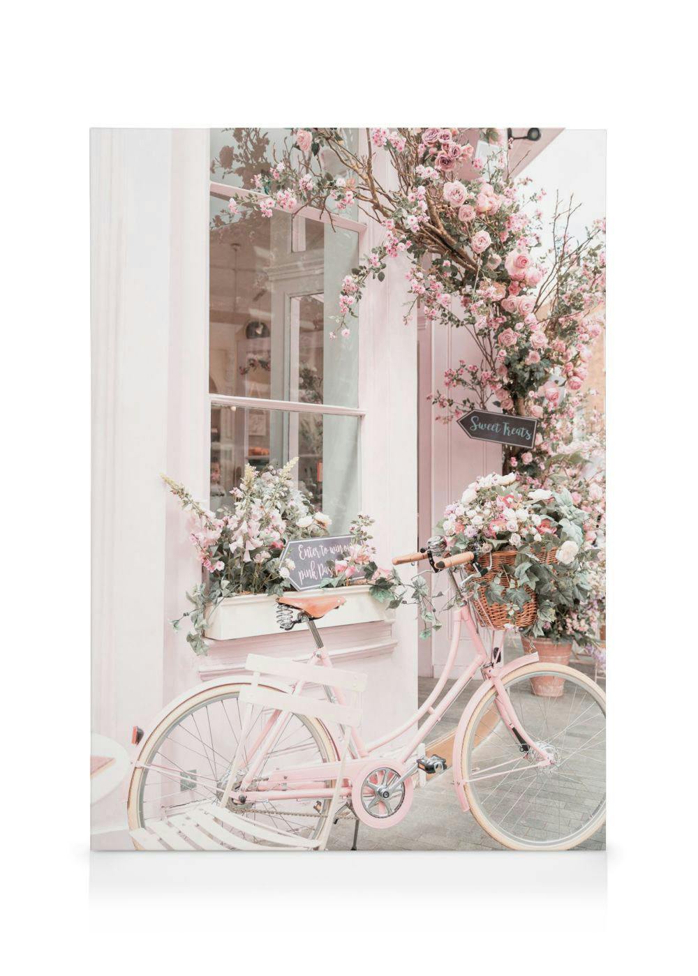 Canvas Prints - Pink Bicycle Canvas print (70x100 cm) - Poster Store