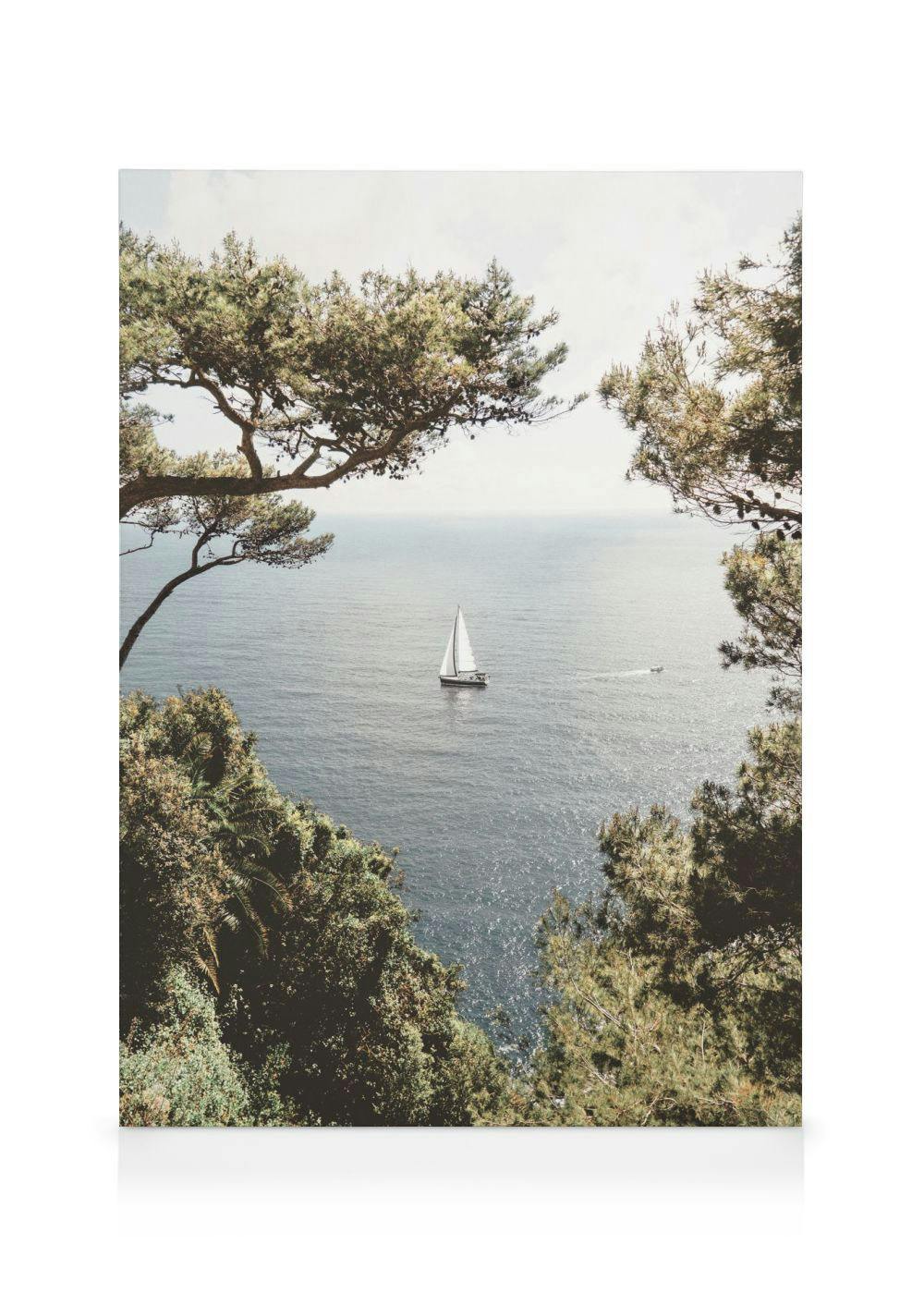 Lienzo con un velero blanco navegando en el mar azul visto a través de árboles verdes frondosos.