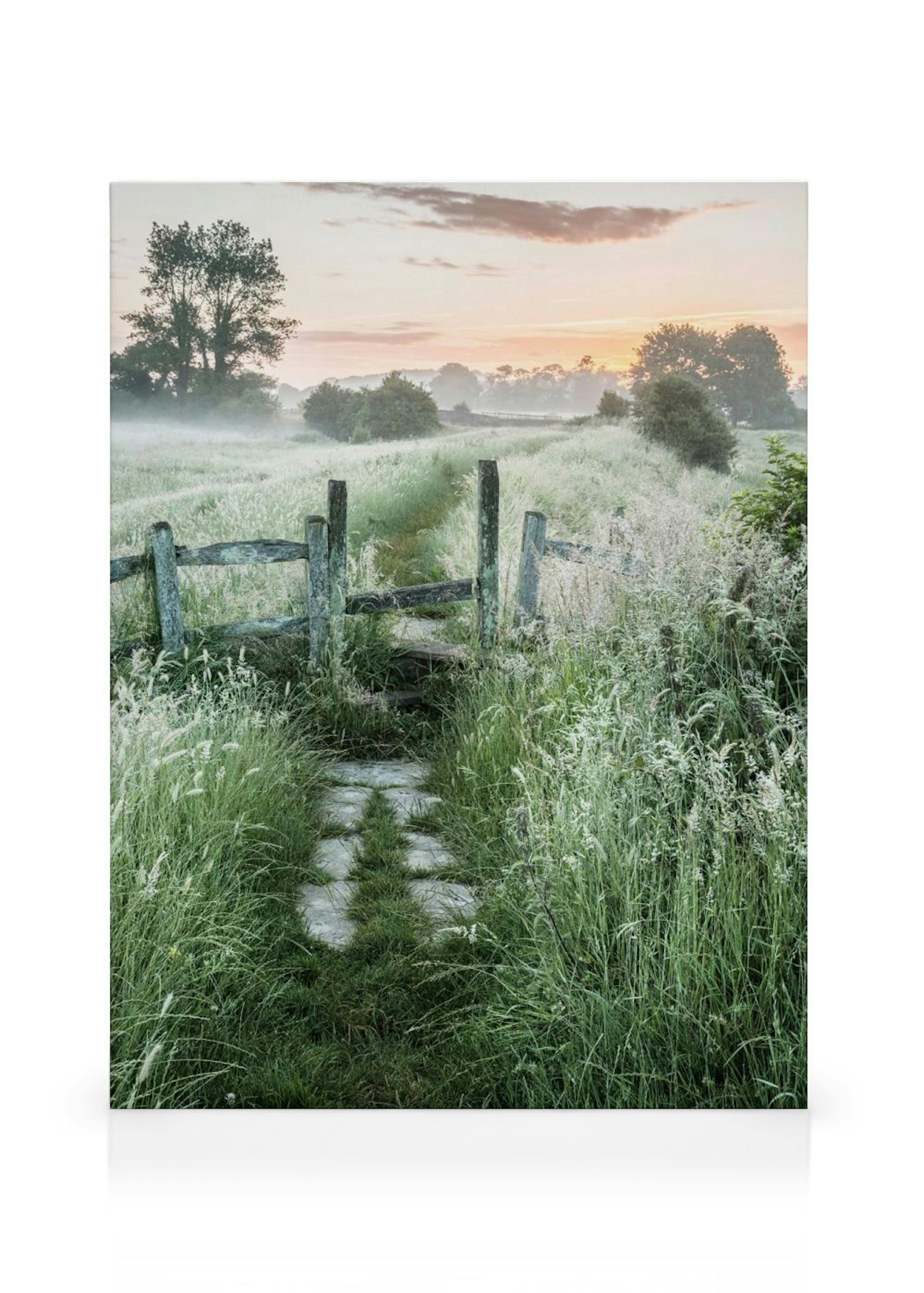 A misty morning landscape with a wooden fence and stone path through a field of tall grass at sunrise.
