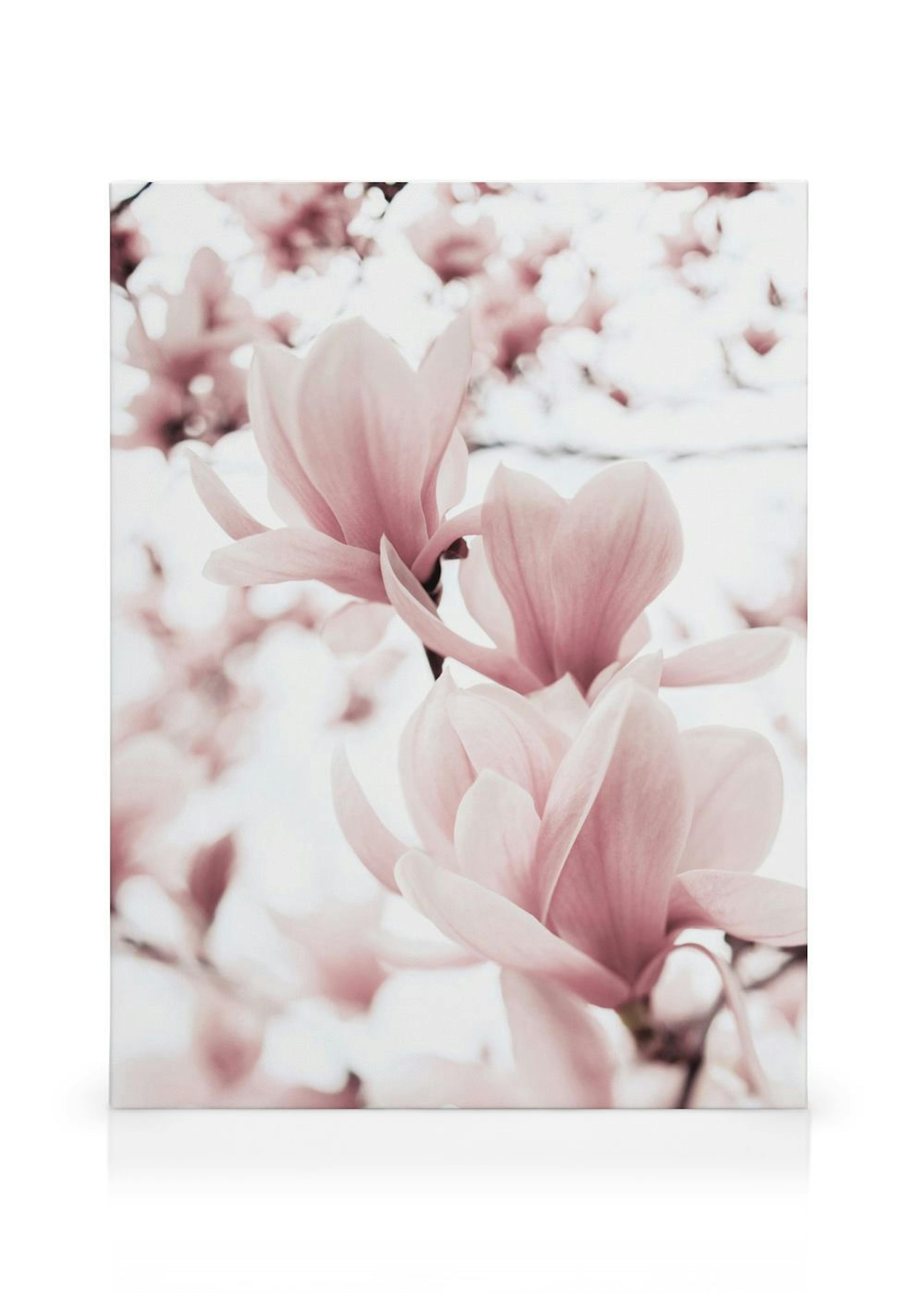 A canvas displaying close-up pink magnolia flowers with soft, blurred blossoms in the background on a light canvas.