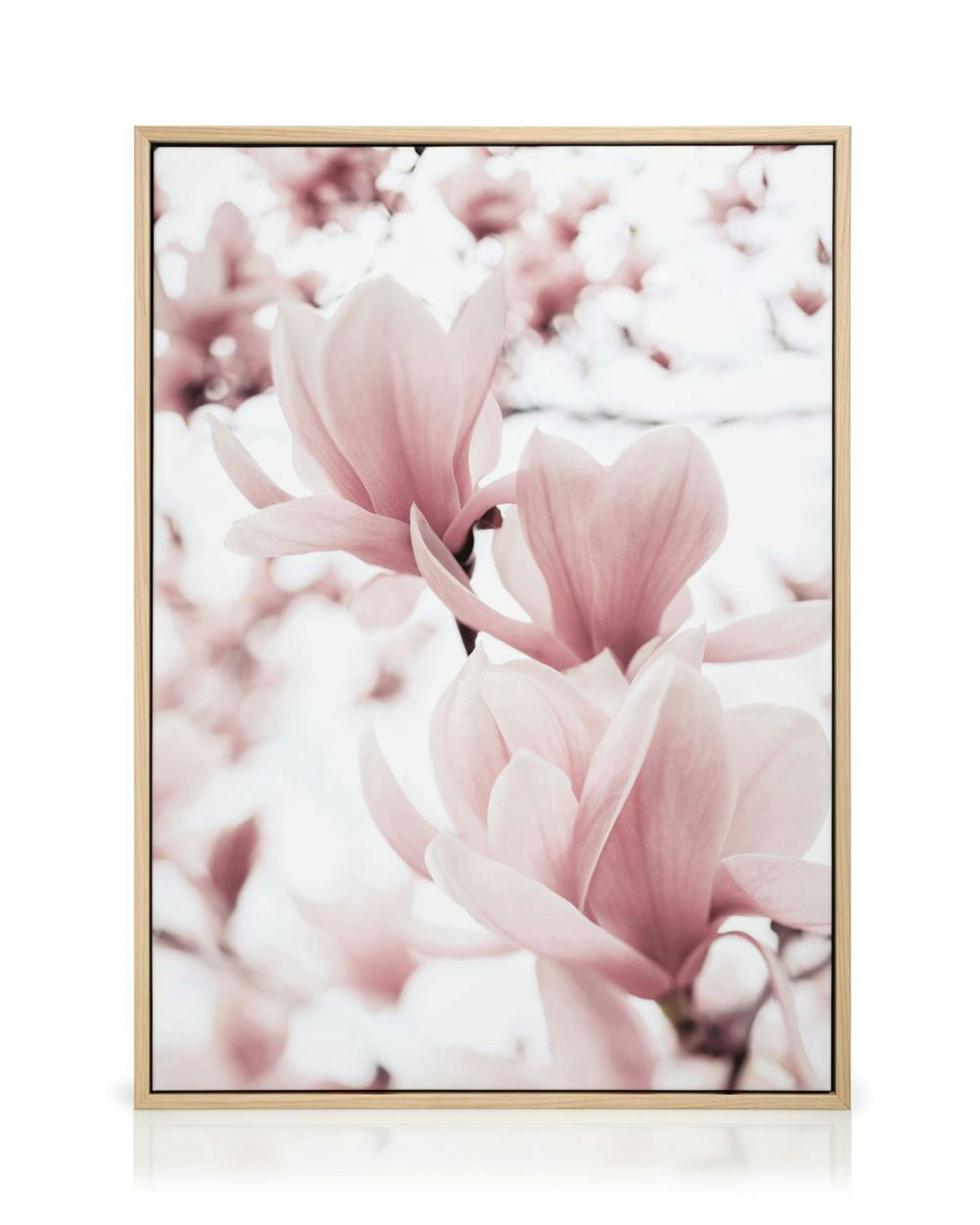 Product image: 1