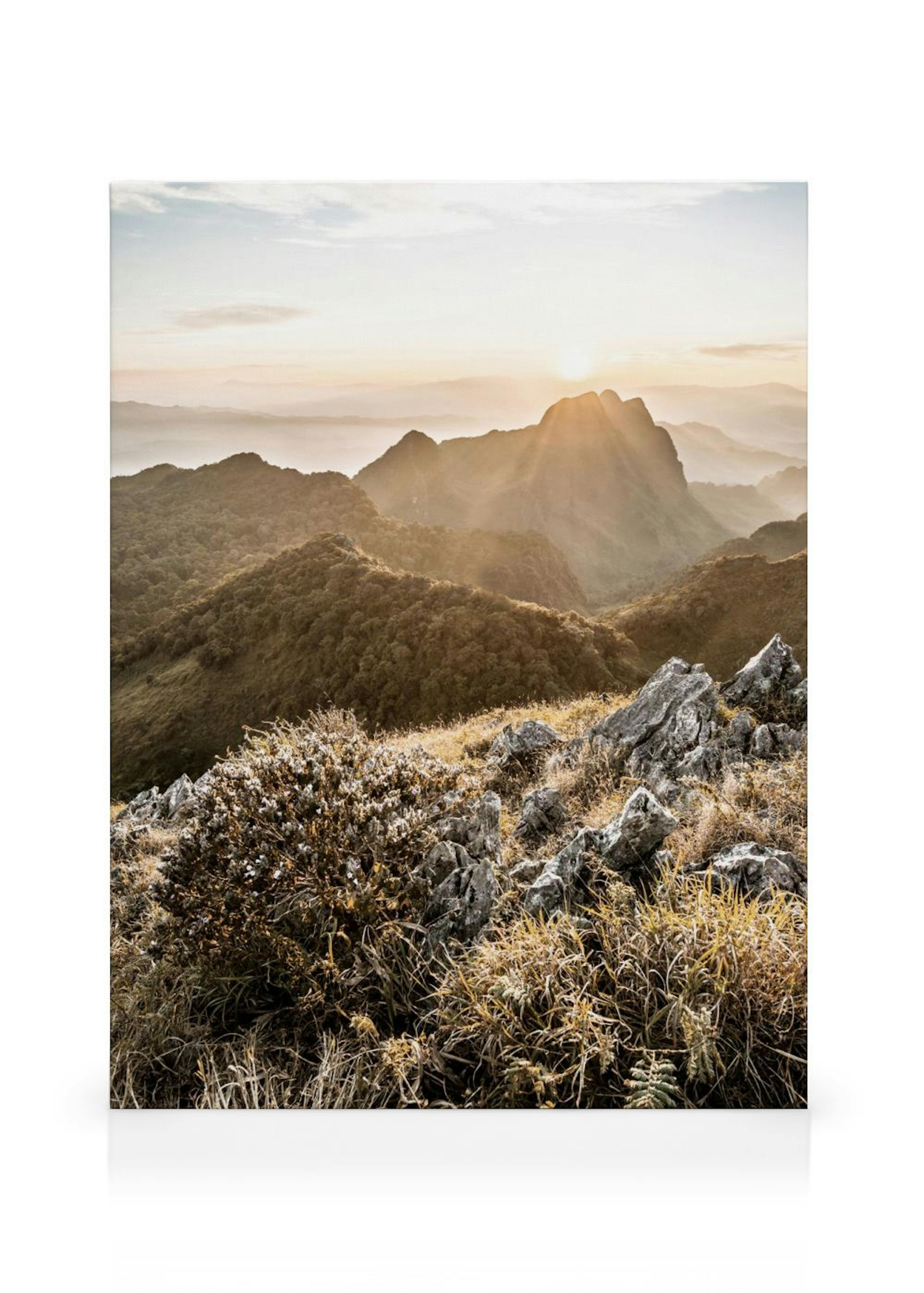 Un lienzo con una vista de montañas cubiertas de niebla al amanecer, con un primer plano de rocas y hierba seca.