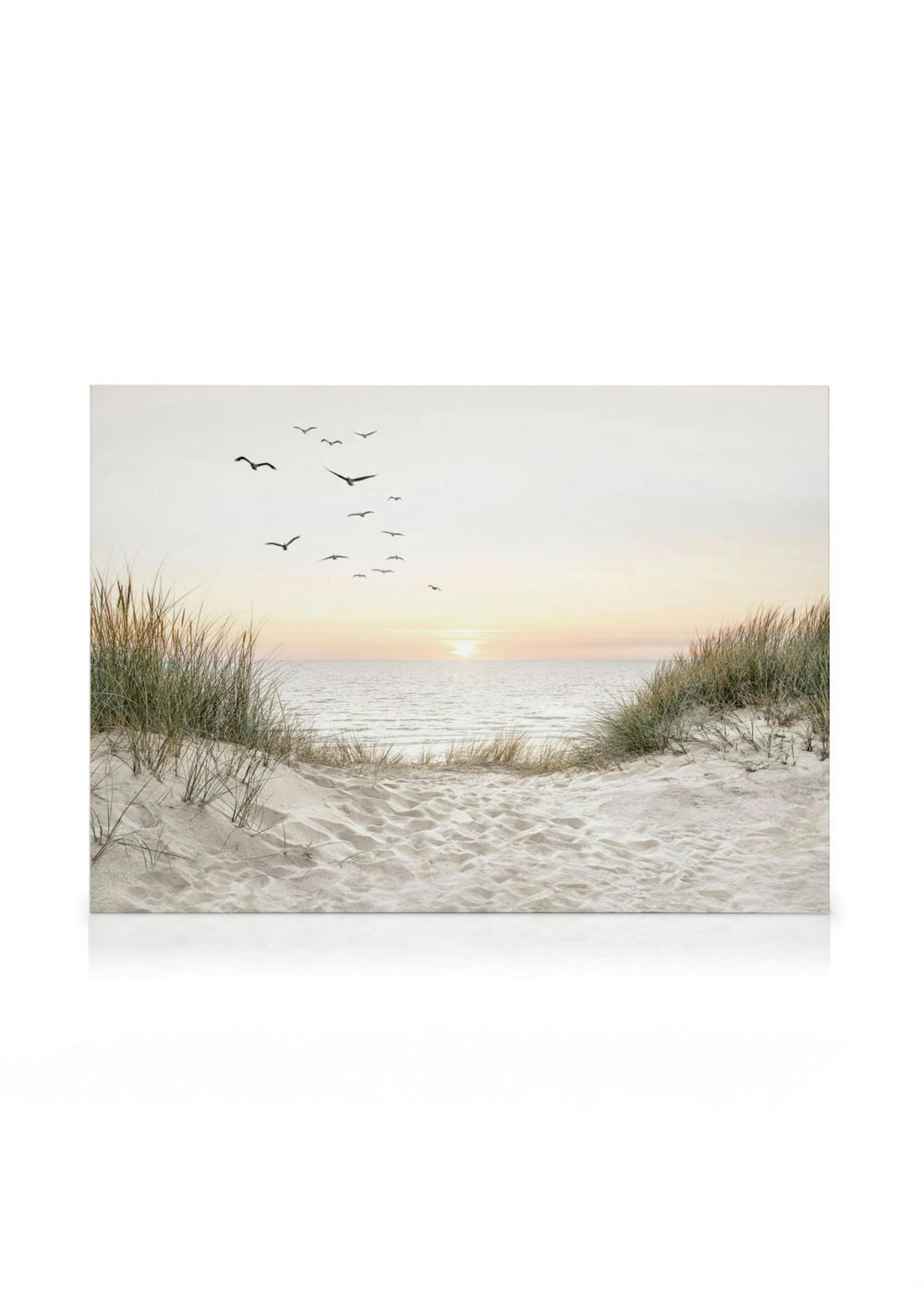 A serene beach landscape canvas with sand dunes and tall grasses, a flock of birds flying over the ocean at sunset.