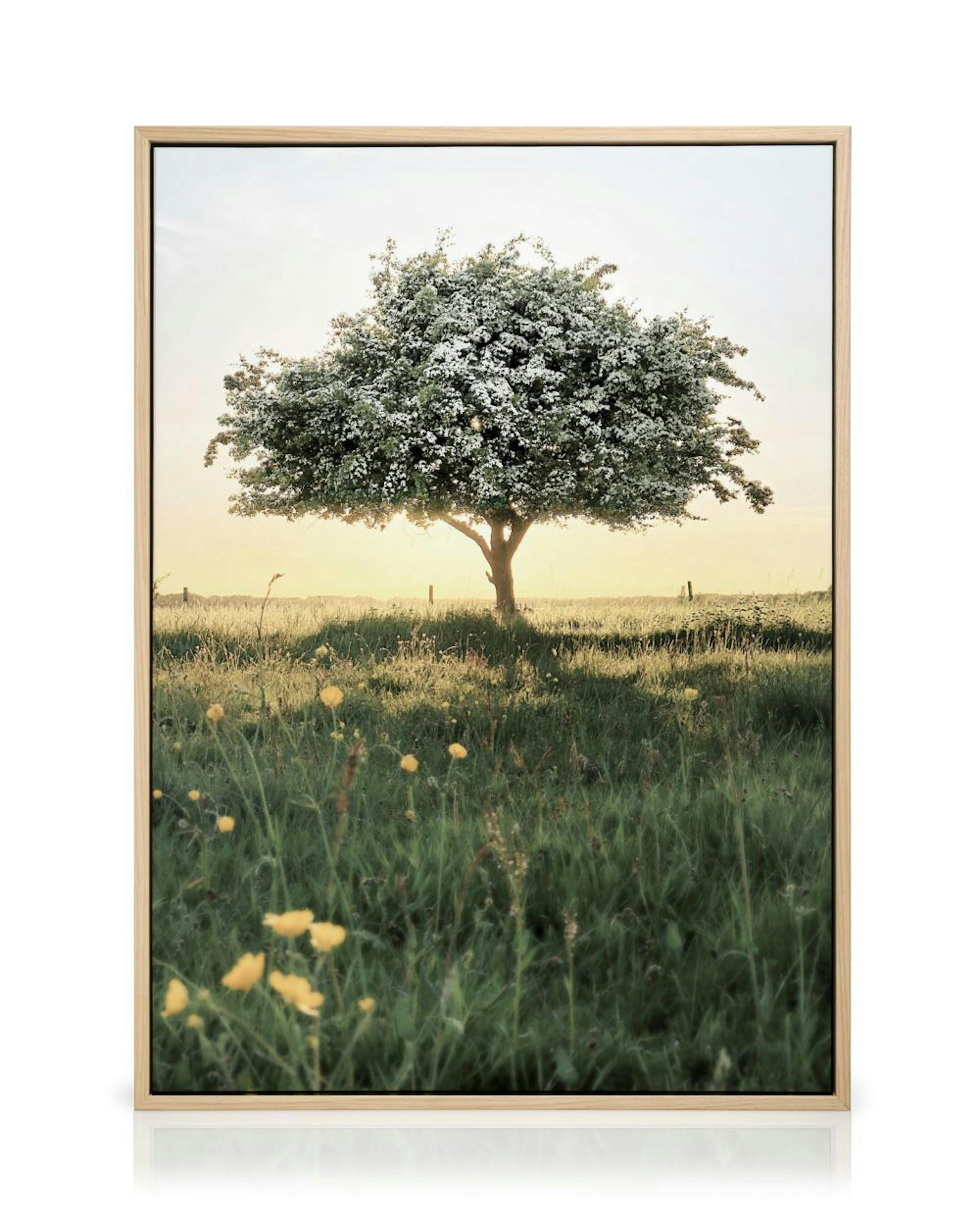 Product image: 2