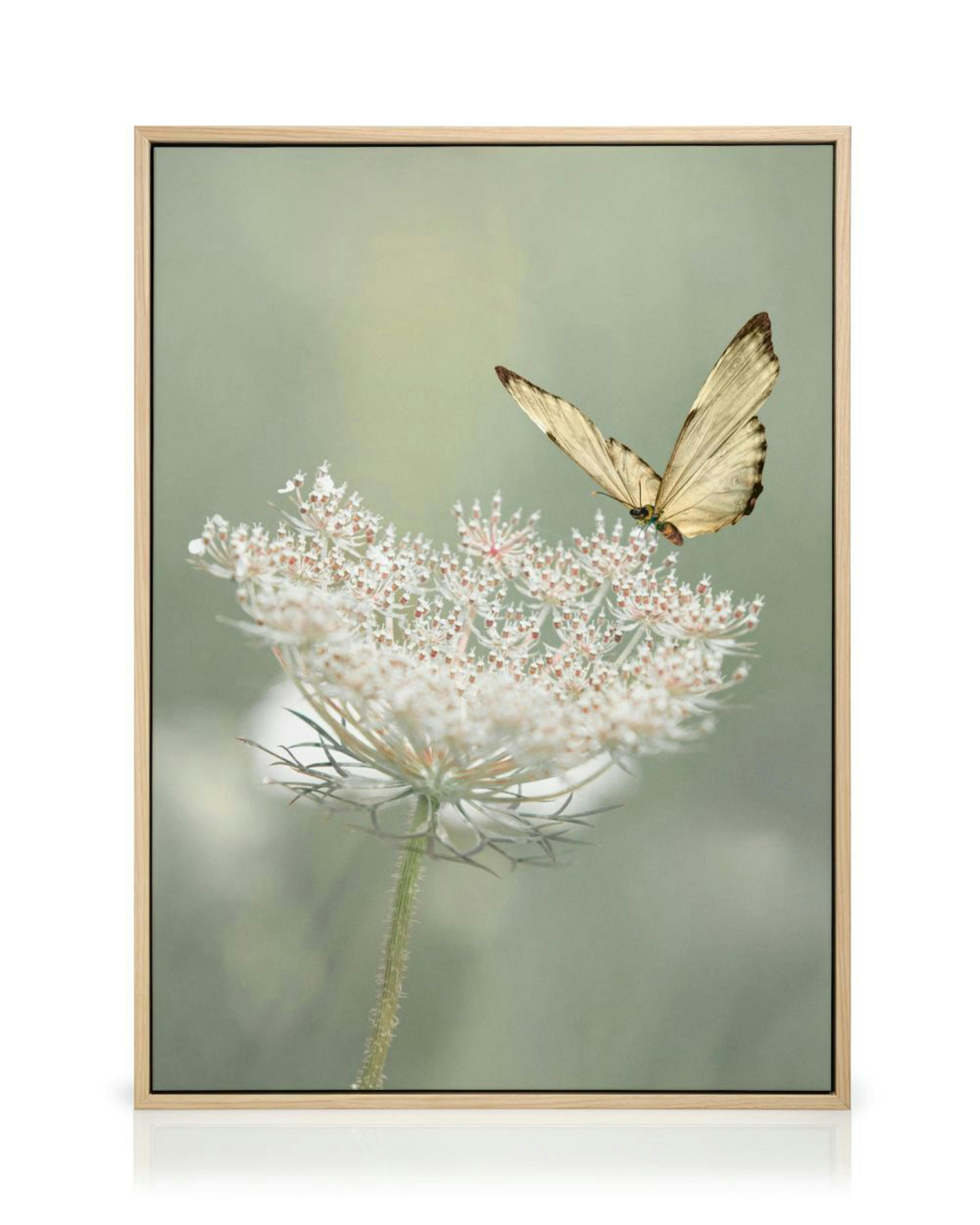 Product image: 2