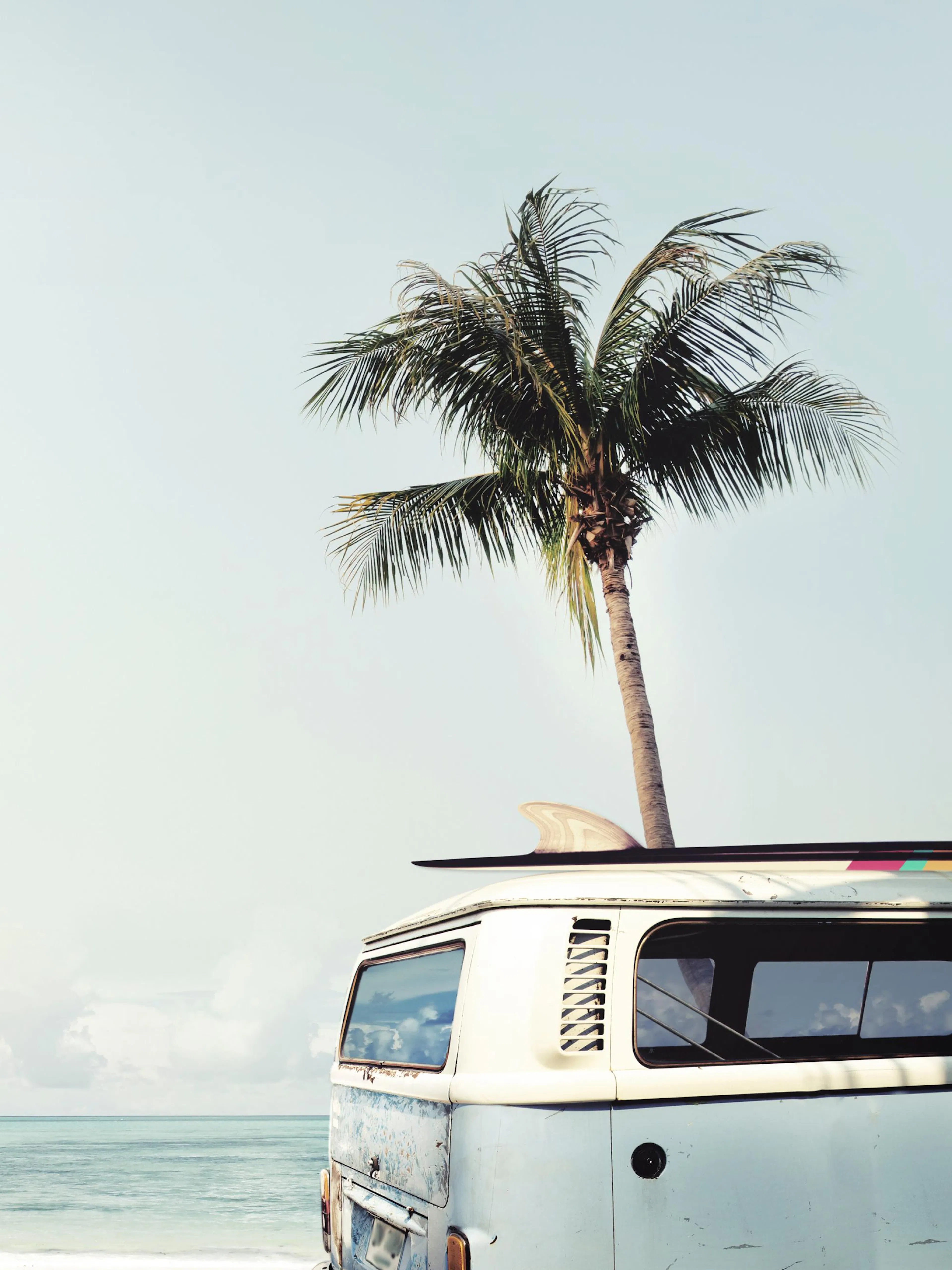 Póster de una palmera y una tabla de surf en el techo de una camioneta azul y blanca con vista al océano.
