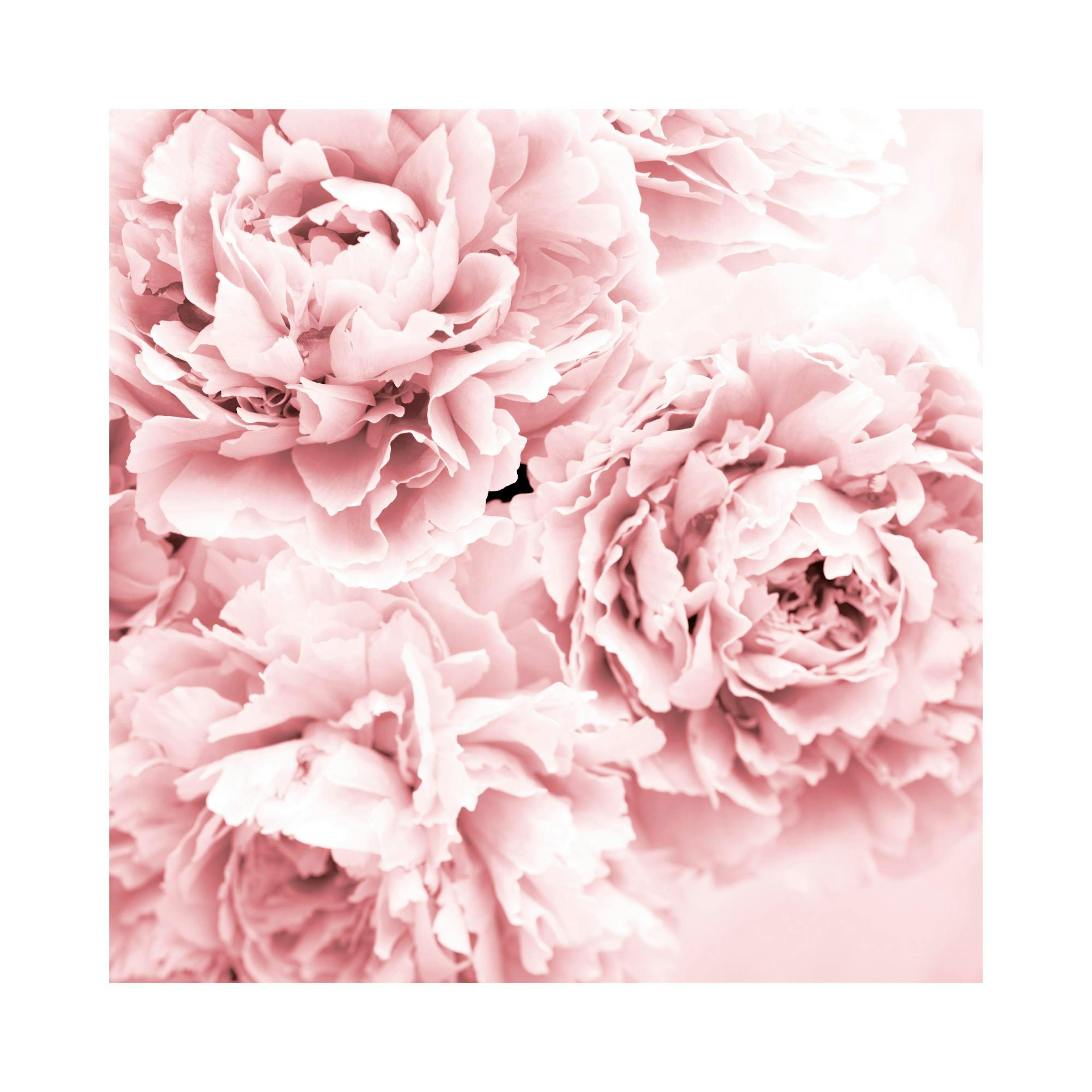Product image: 1