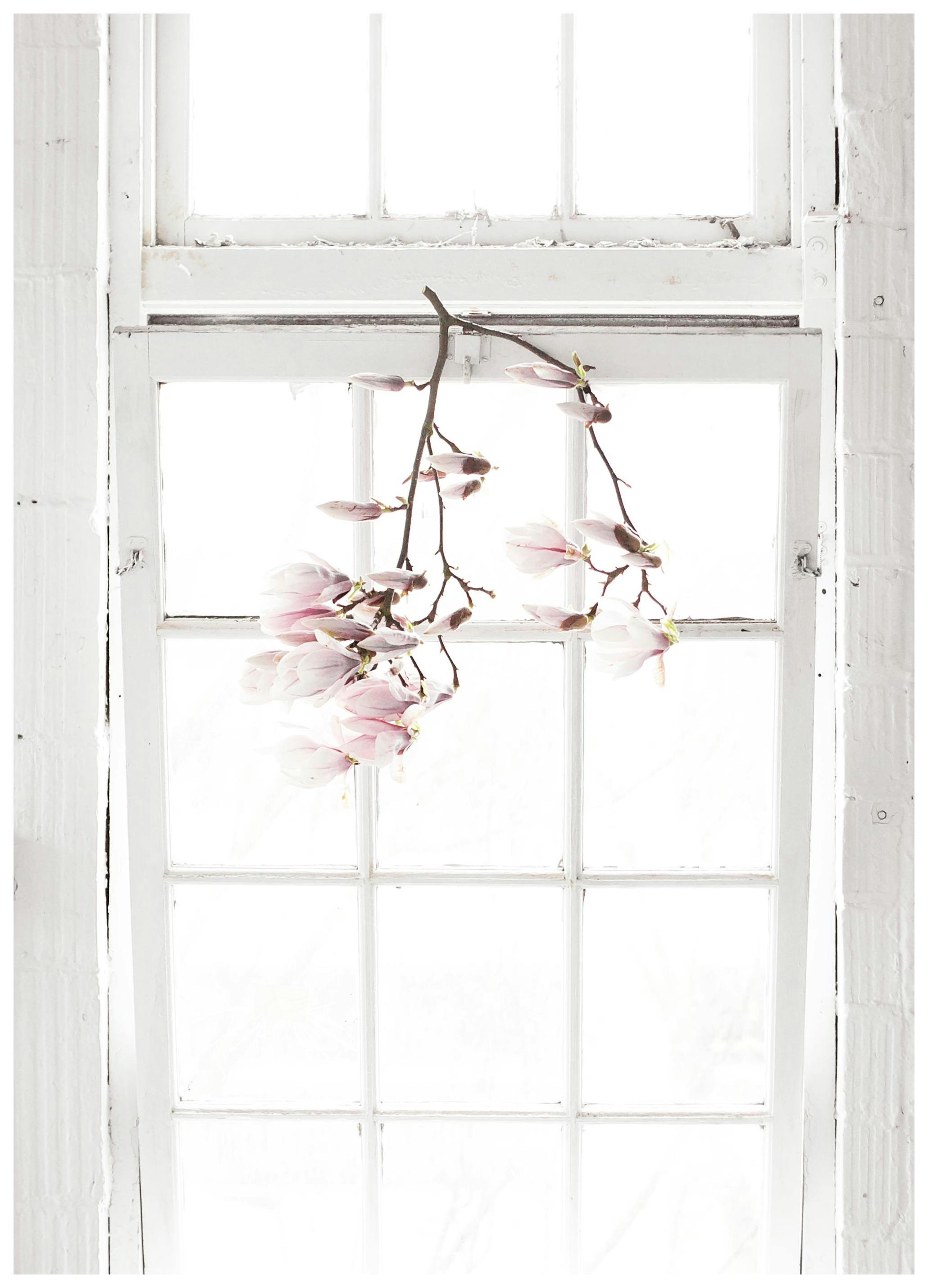 Flowers In The Window Poster (50x70 cm) - Poster Store