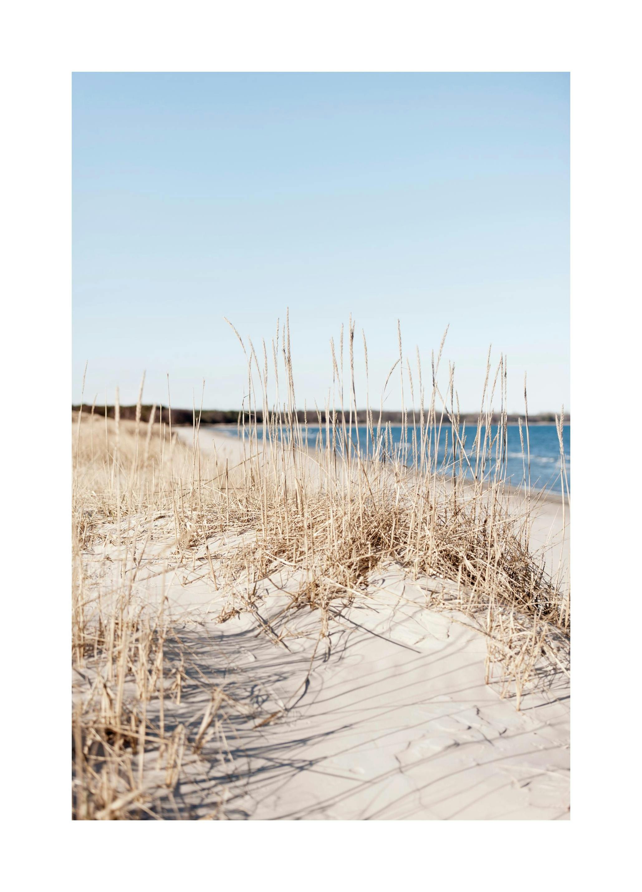 Herbes au Bord de la Mer Poster - Poster Store