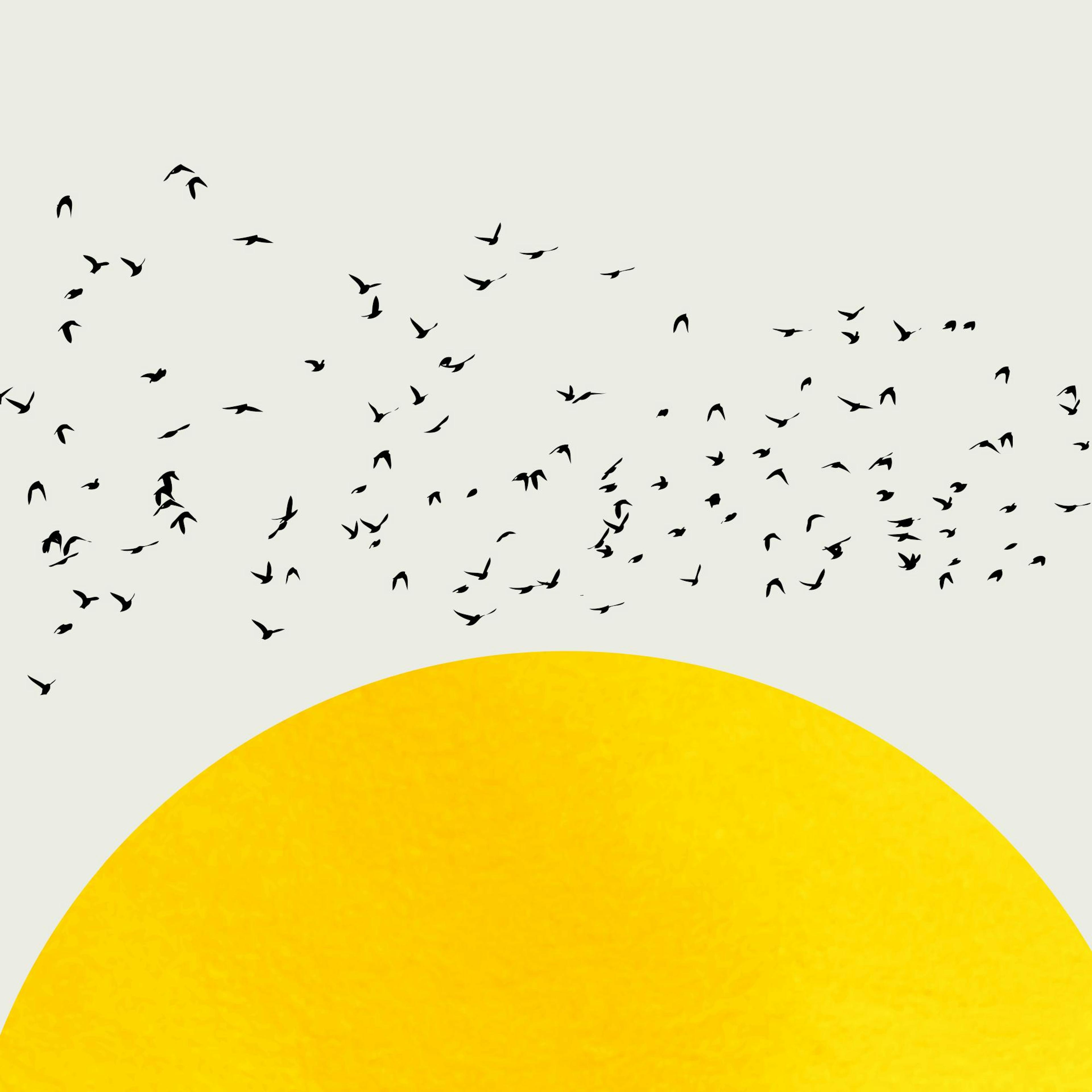 Poster dun soleil jaune et dun vol doiseaux noirs sur un fond gris pâle.