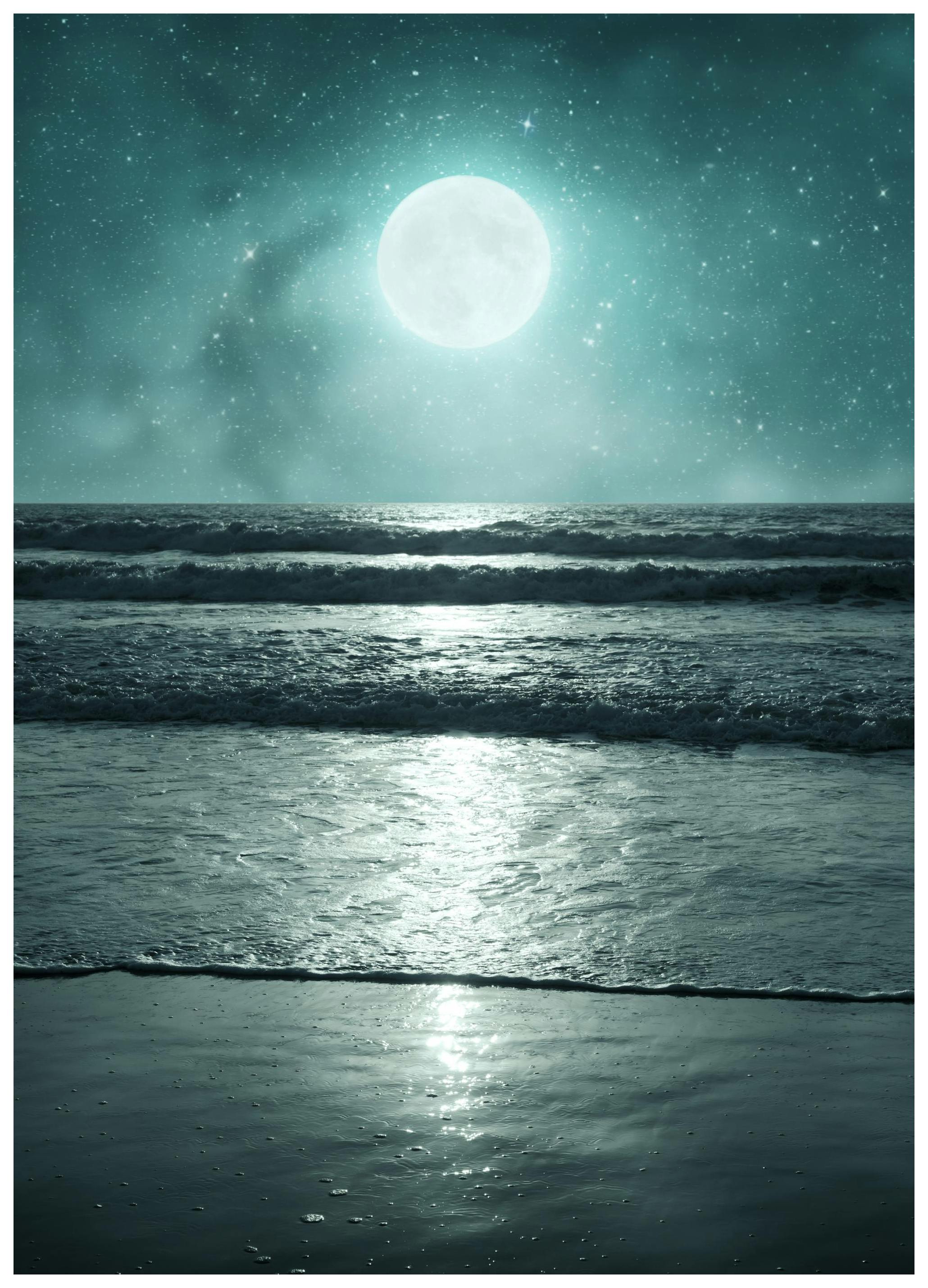 Tropische Nacht Poster (30x40 cm) - Poster Store