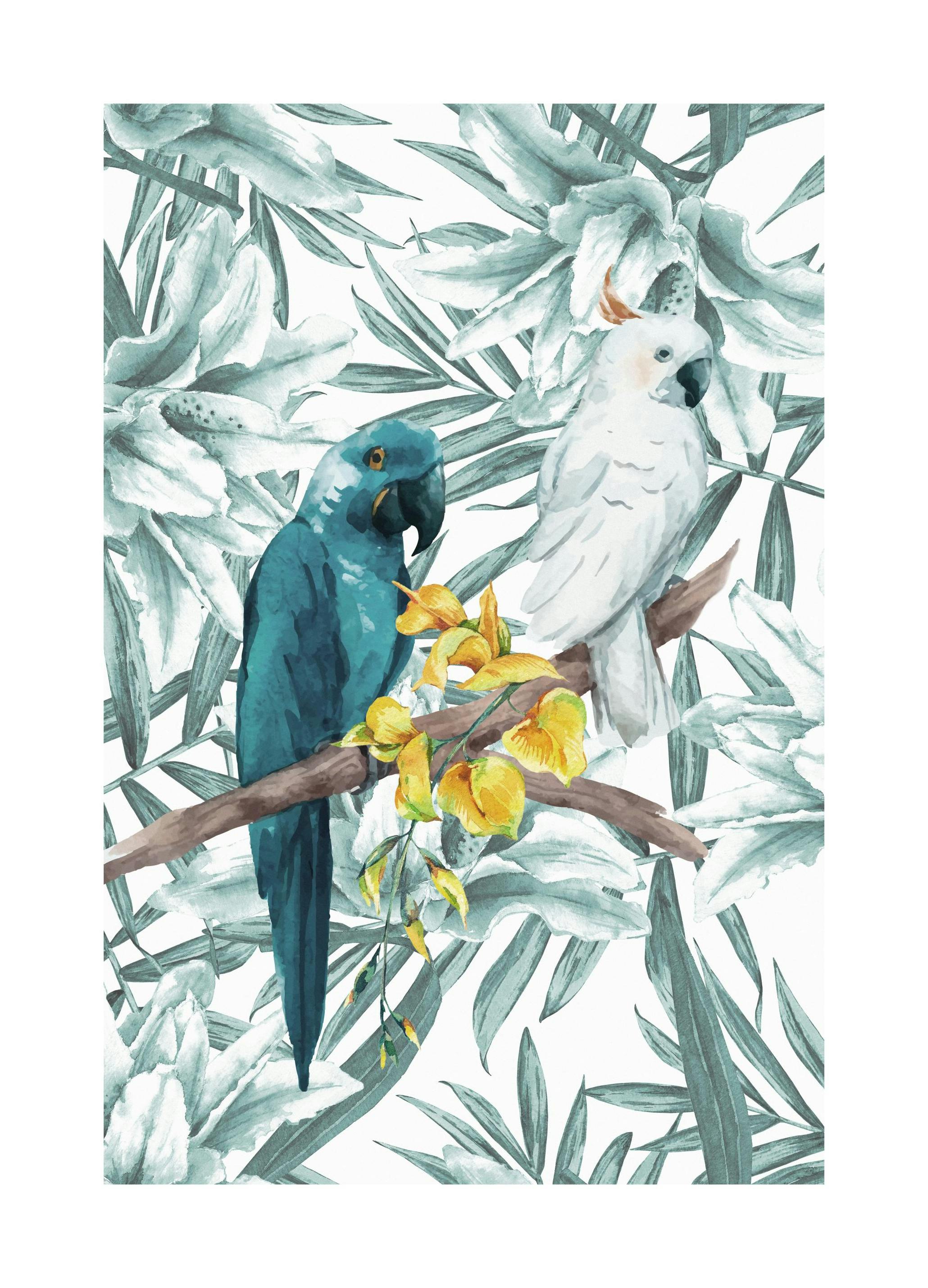 Tropisk Fugl Nr3 Plakat (50x70 cm) - Poster Store