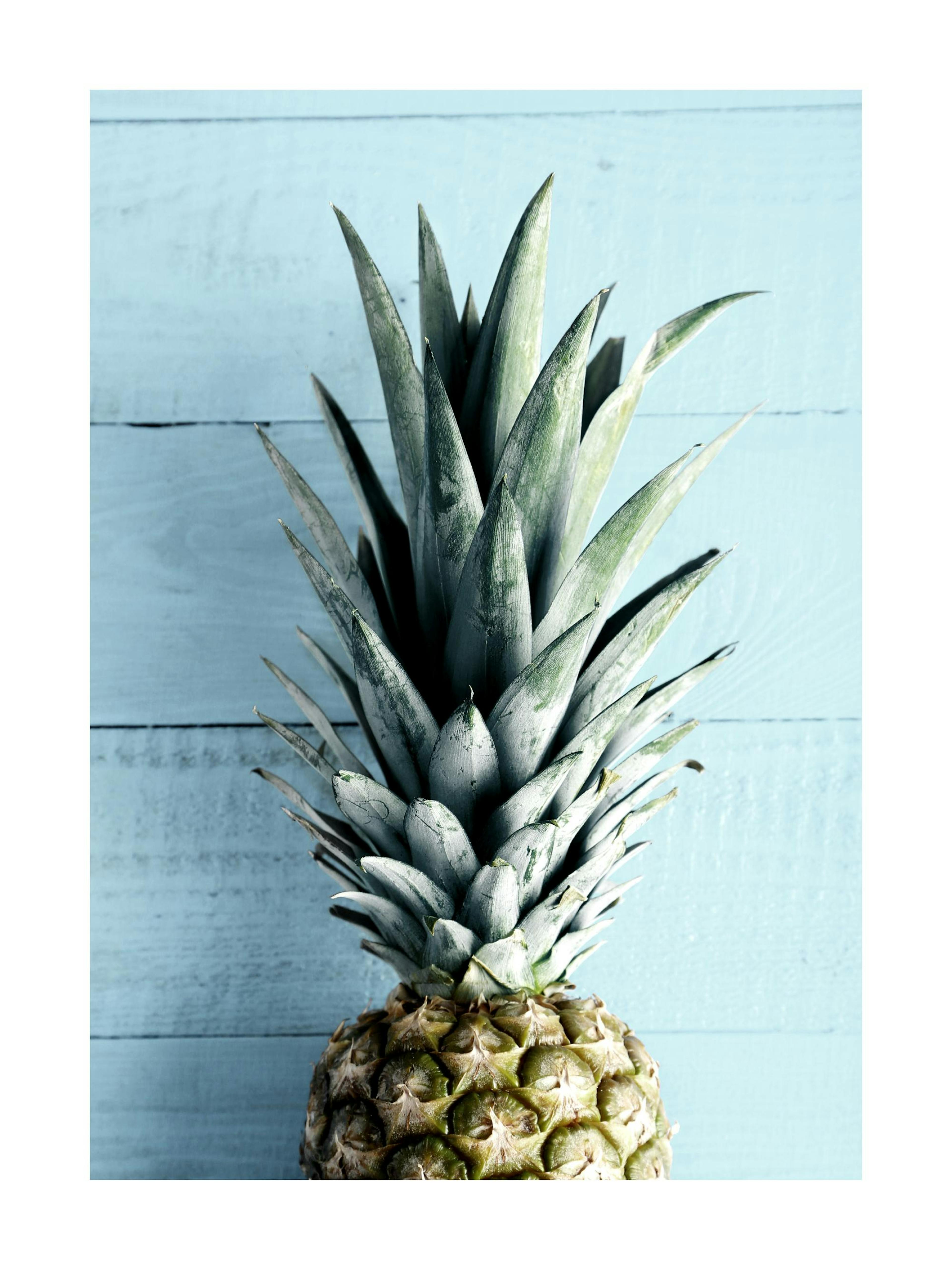 A poster featuring the top of a fresh pineapple with green leaves against a light blue wooden background.