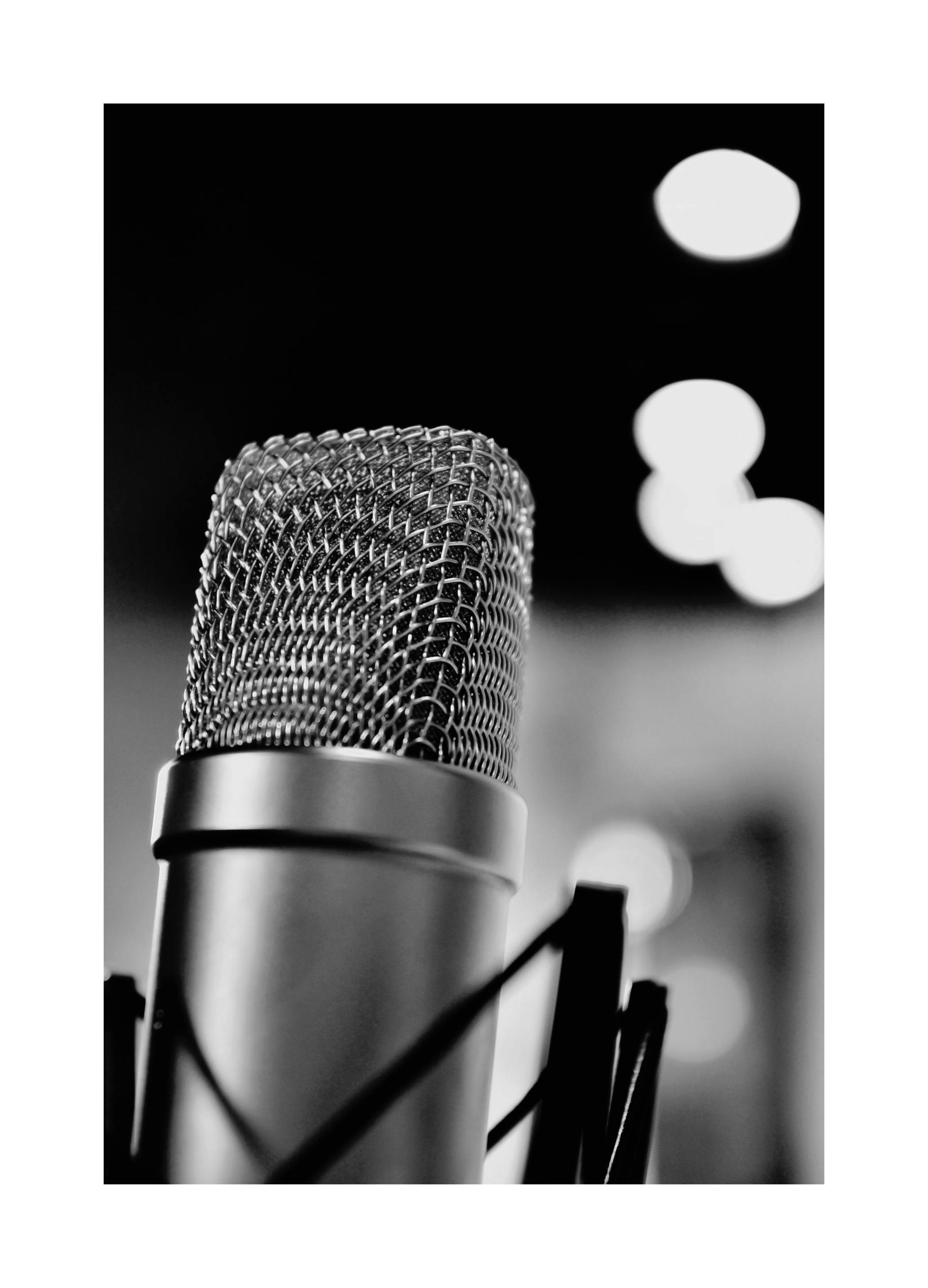 Microphone Poster (50x70 cm) - Poster Store