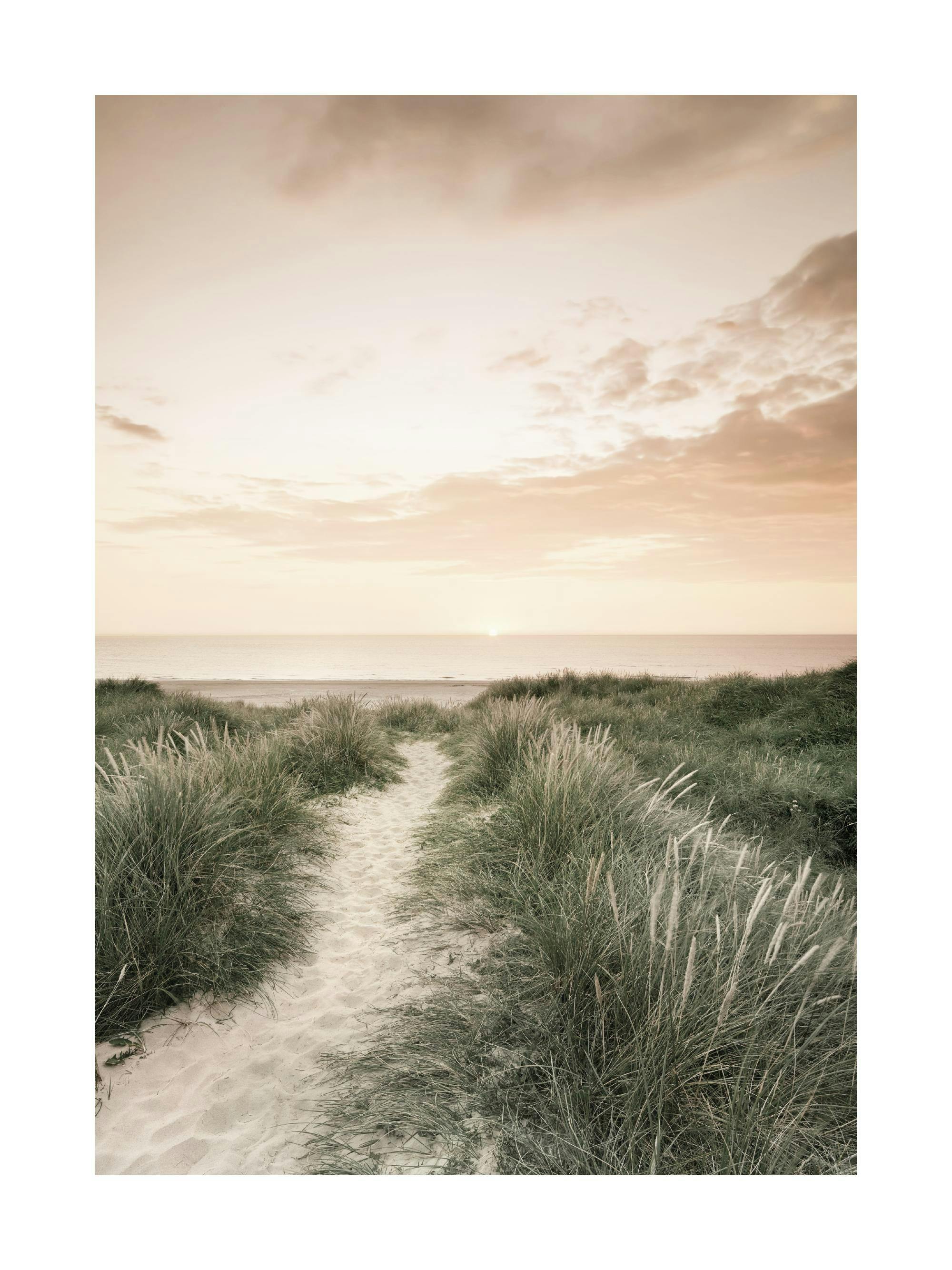 Plakat med en sandsti gjennom grønne sanddyner mot havet ved solnedgang.