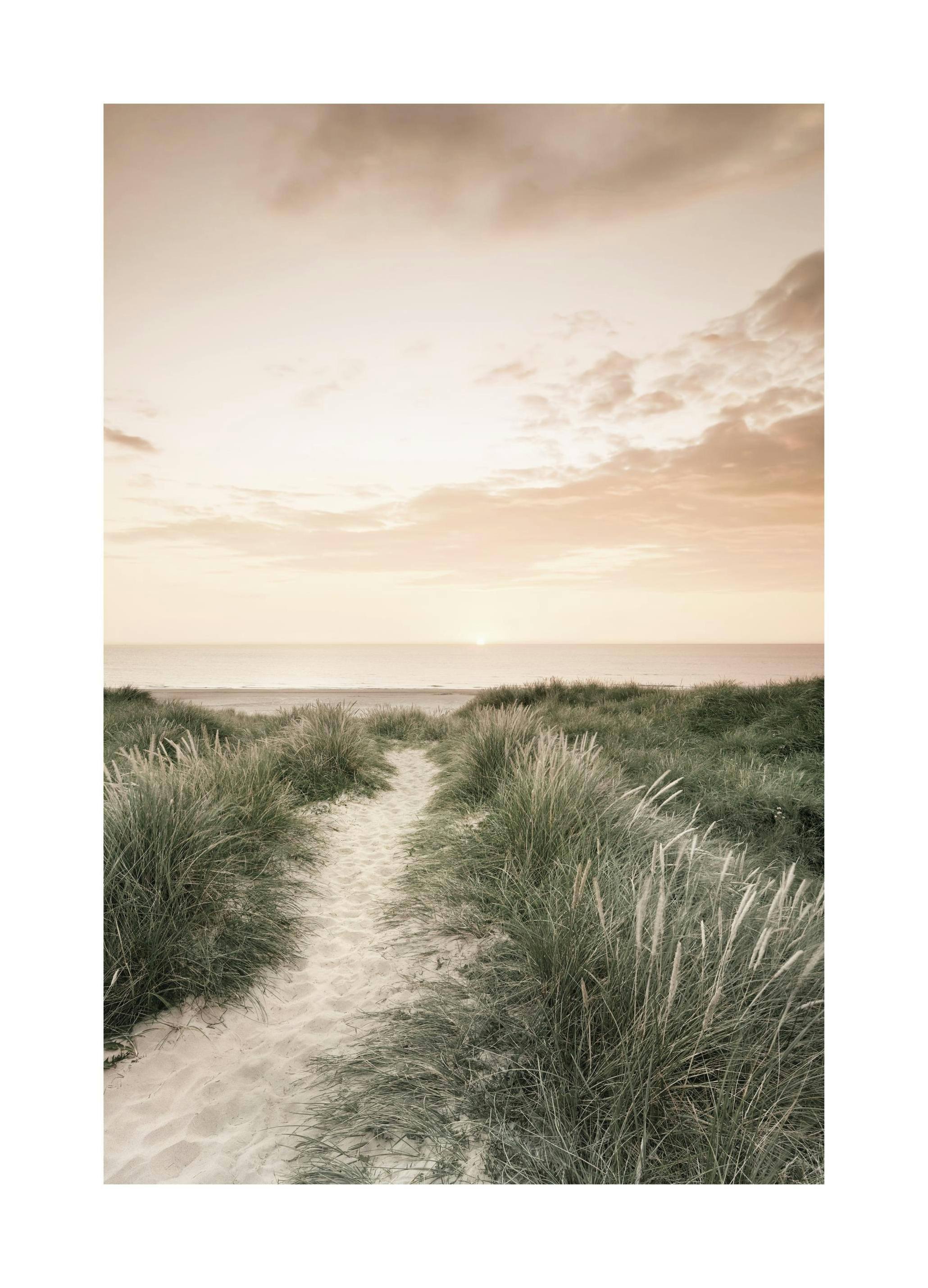 Sunrise Beach Walk Juliste (21x30 cm) - Poster Store