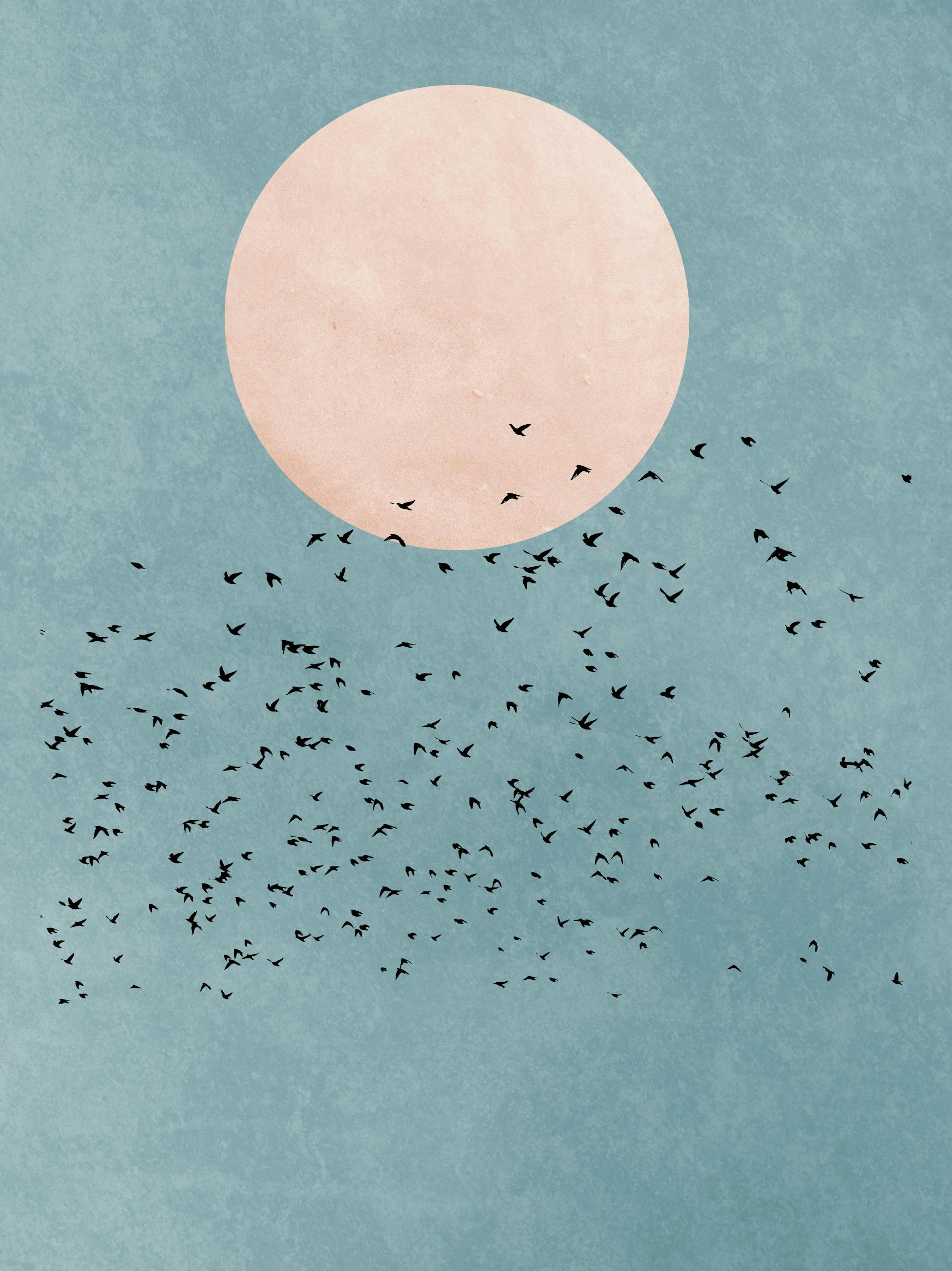 A poster featuring a large pink circle representing the sun or moon, with a flock of black birds flying across a textured teal s