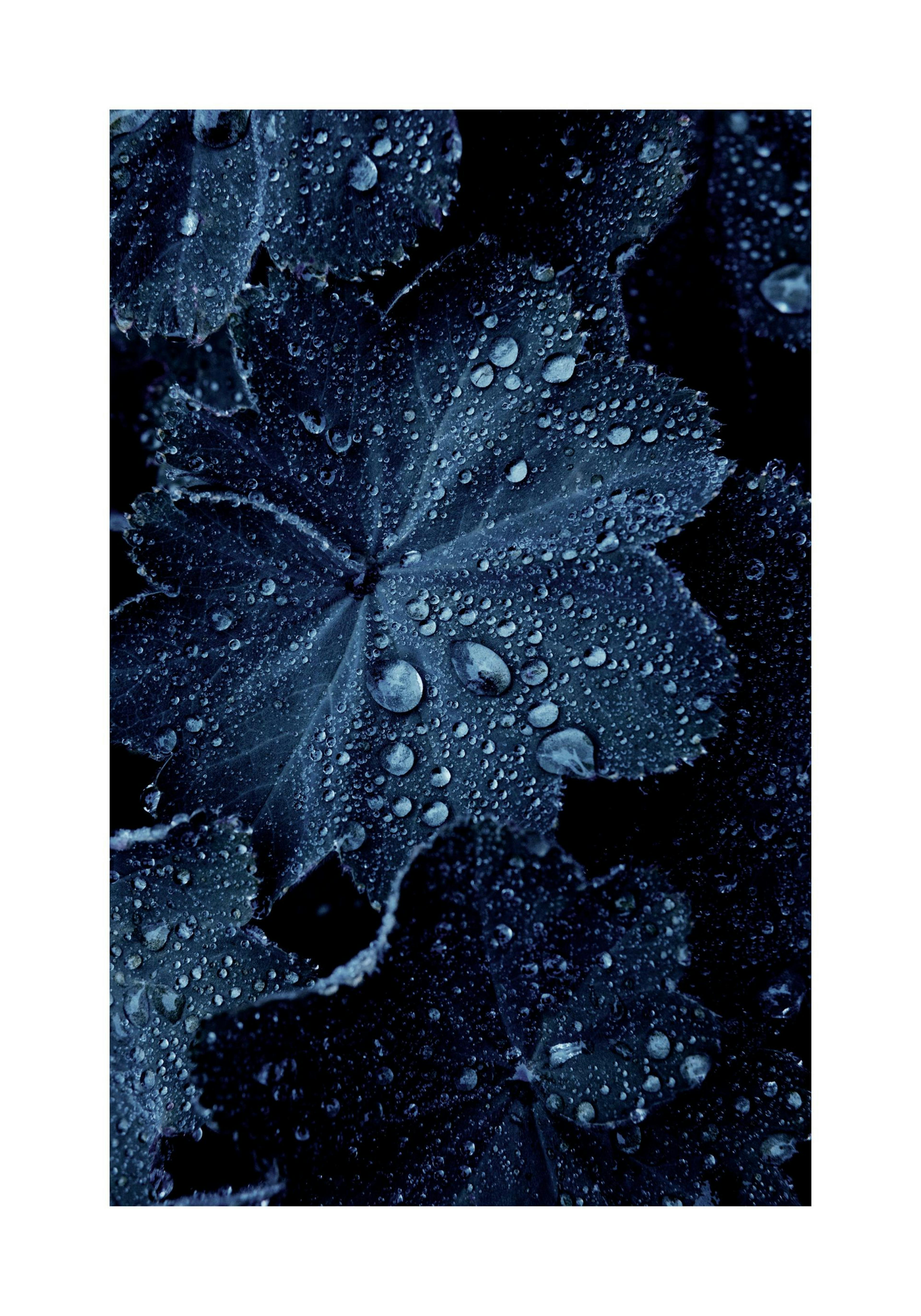 Product image: 1