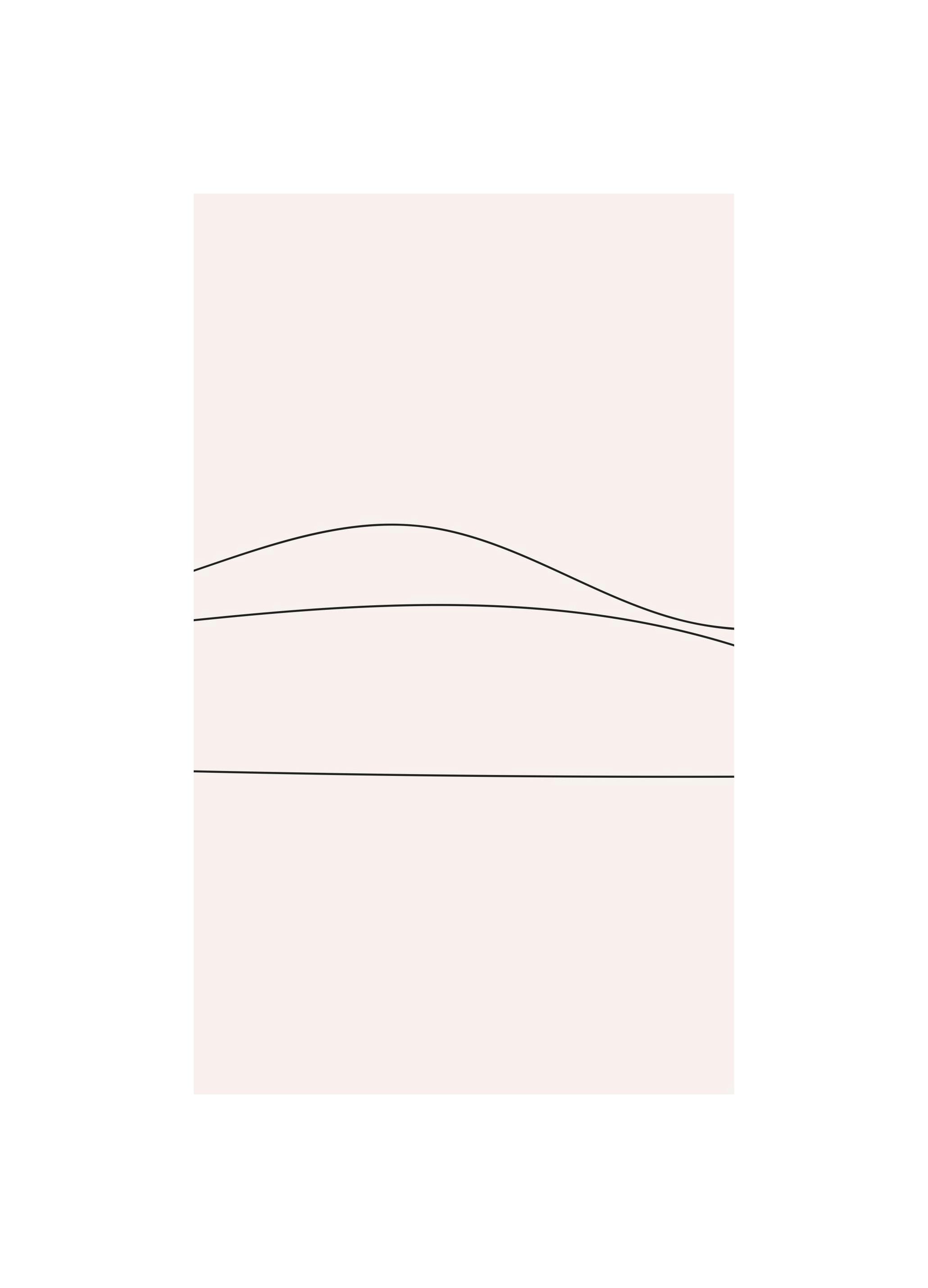 Prints Linee No2 Poster (50x70 cm) - Poster Store
