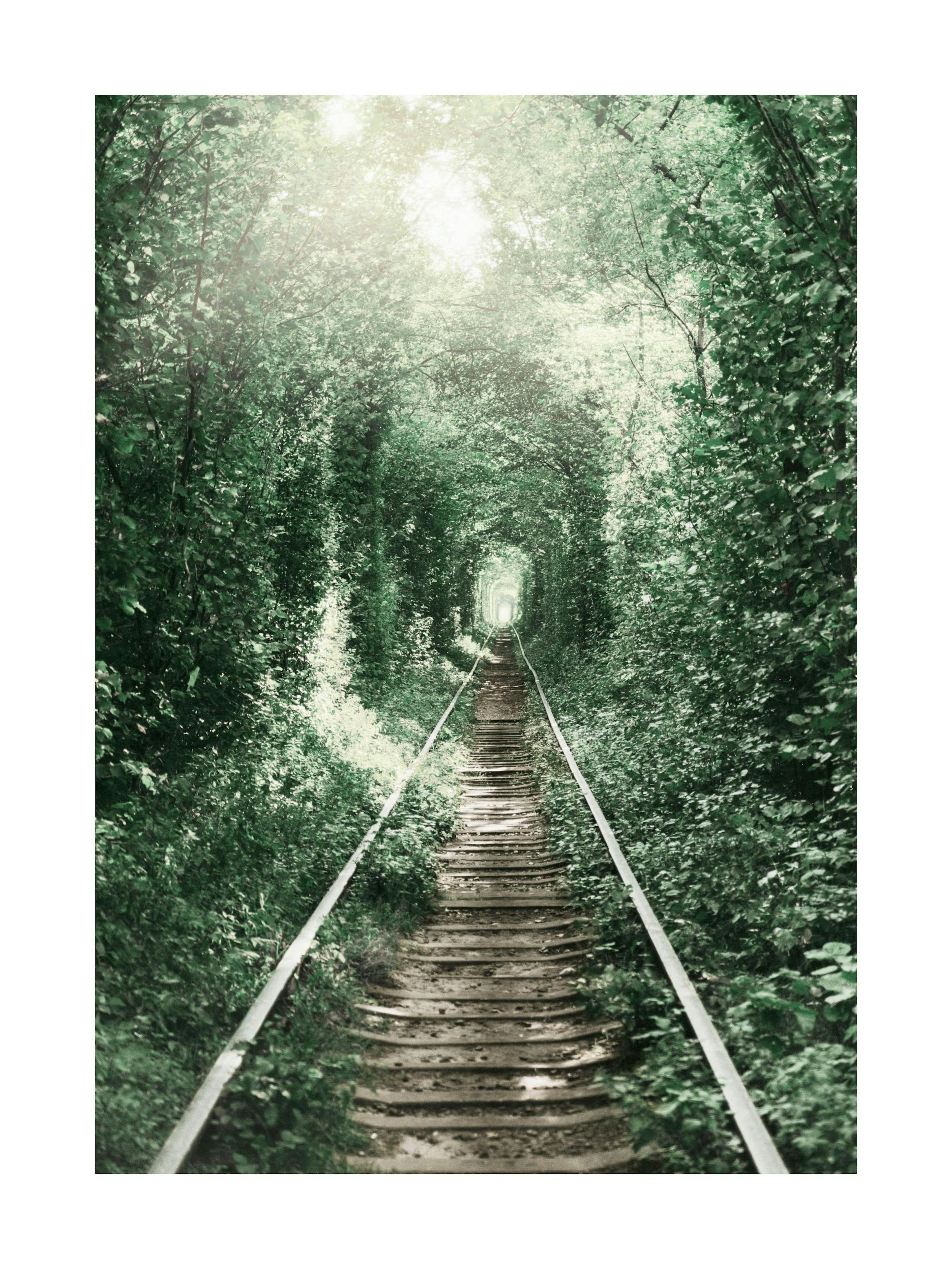 Plakát zobrazuje staré opuštěné koleje vedoucí do zeleného listnatého tunelu se světlem na konci.