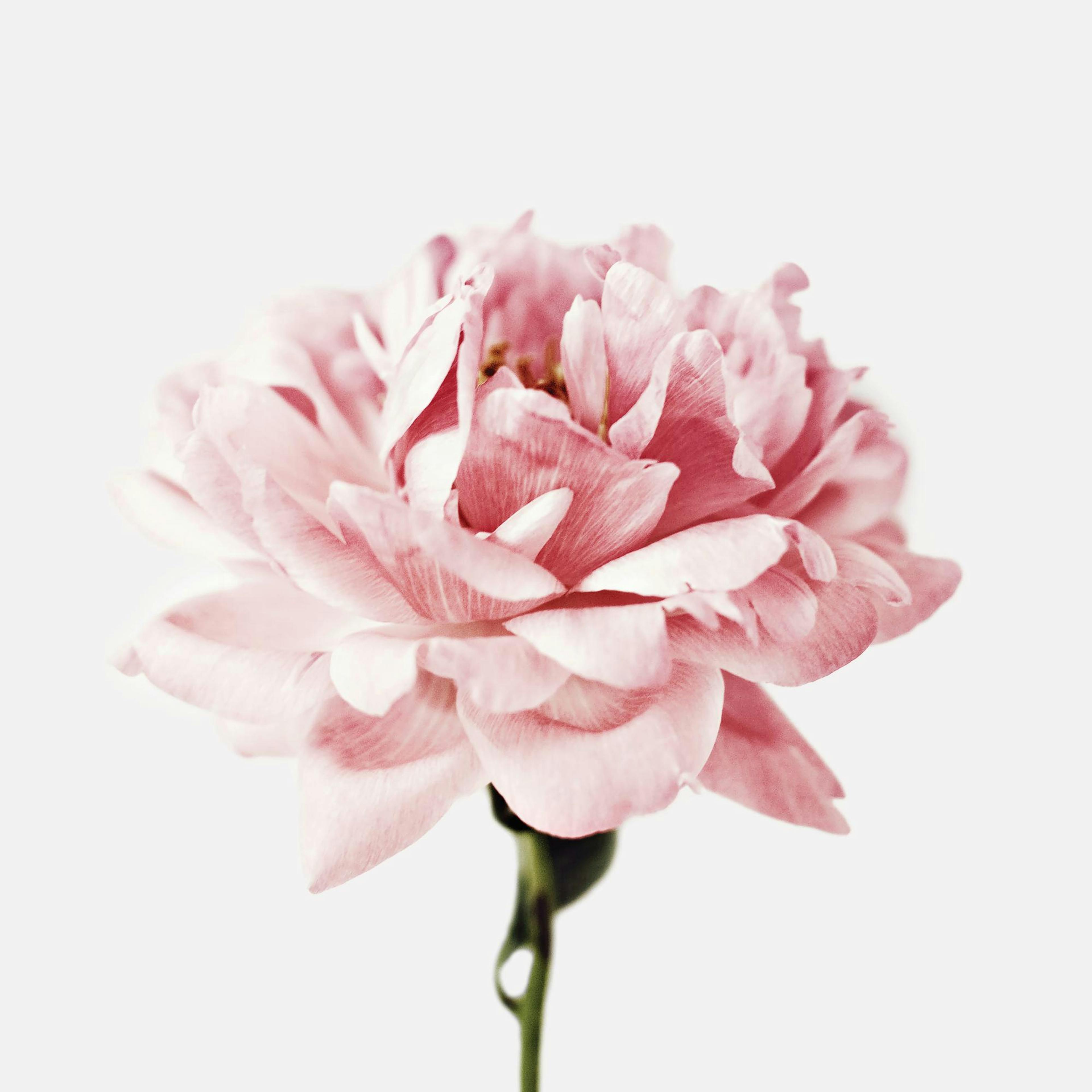 Product image: 1