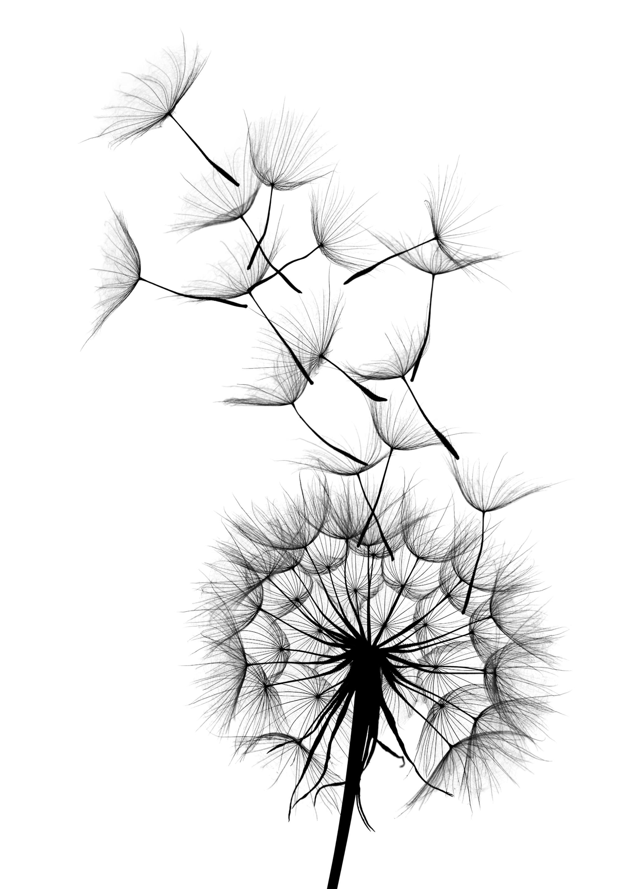 6859a48b77e838b230d36747_29362