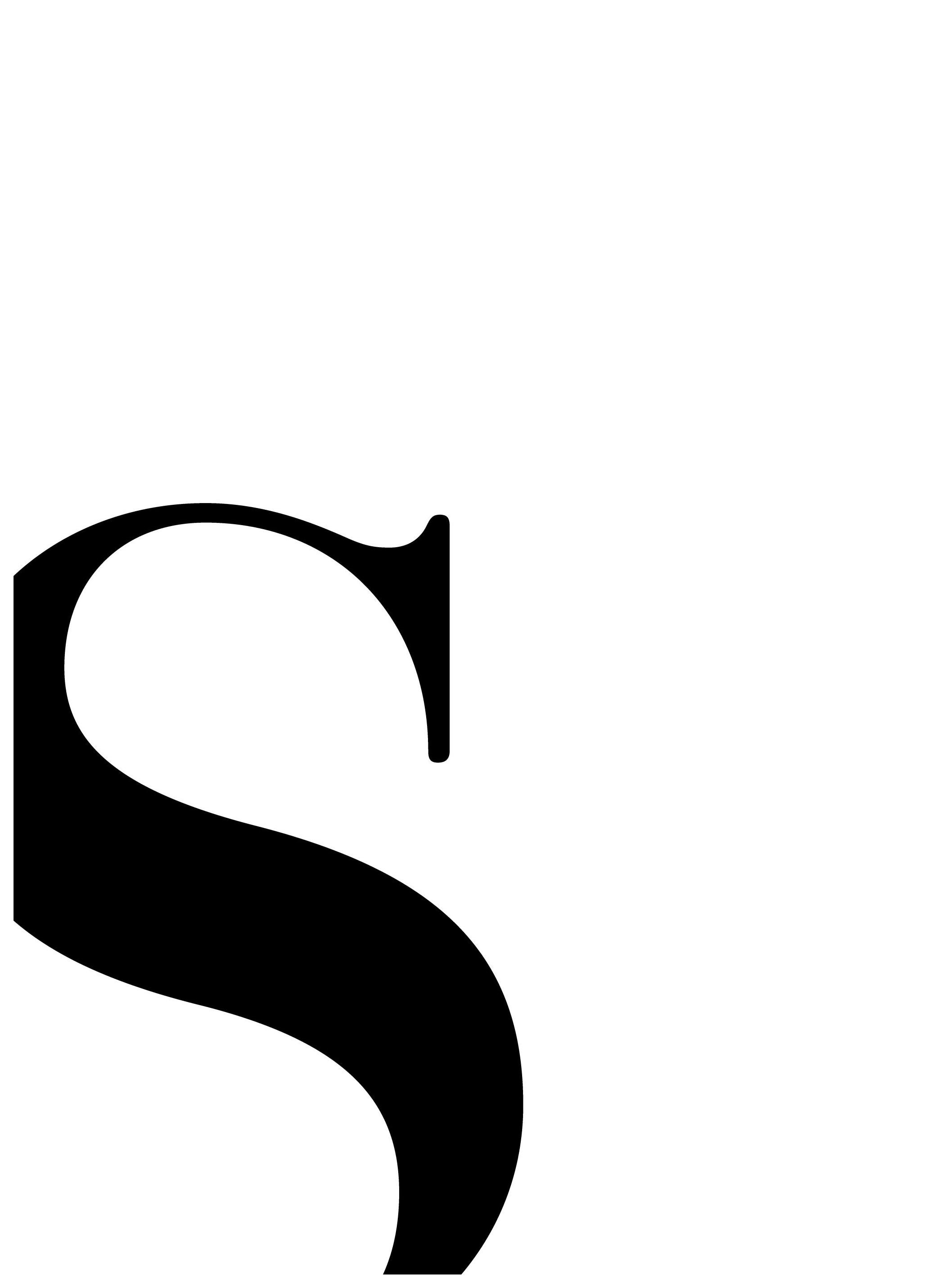 Letter S Poster (30x40 cm) - Poster Store