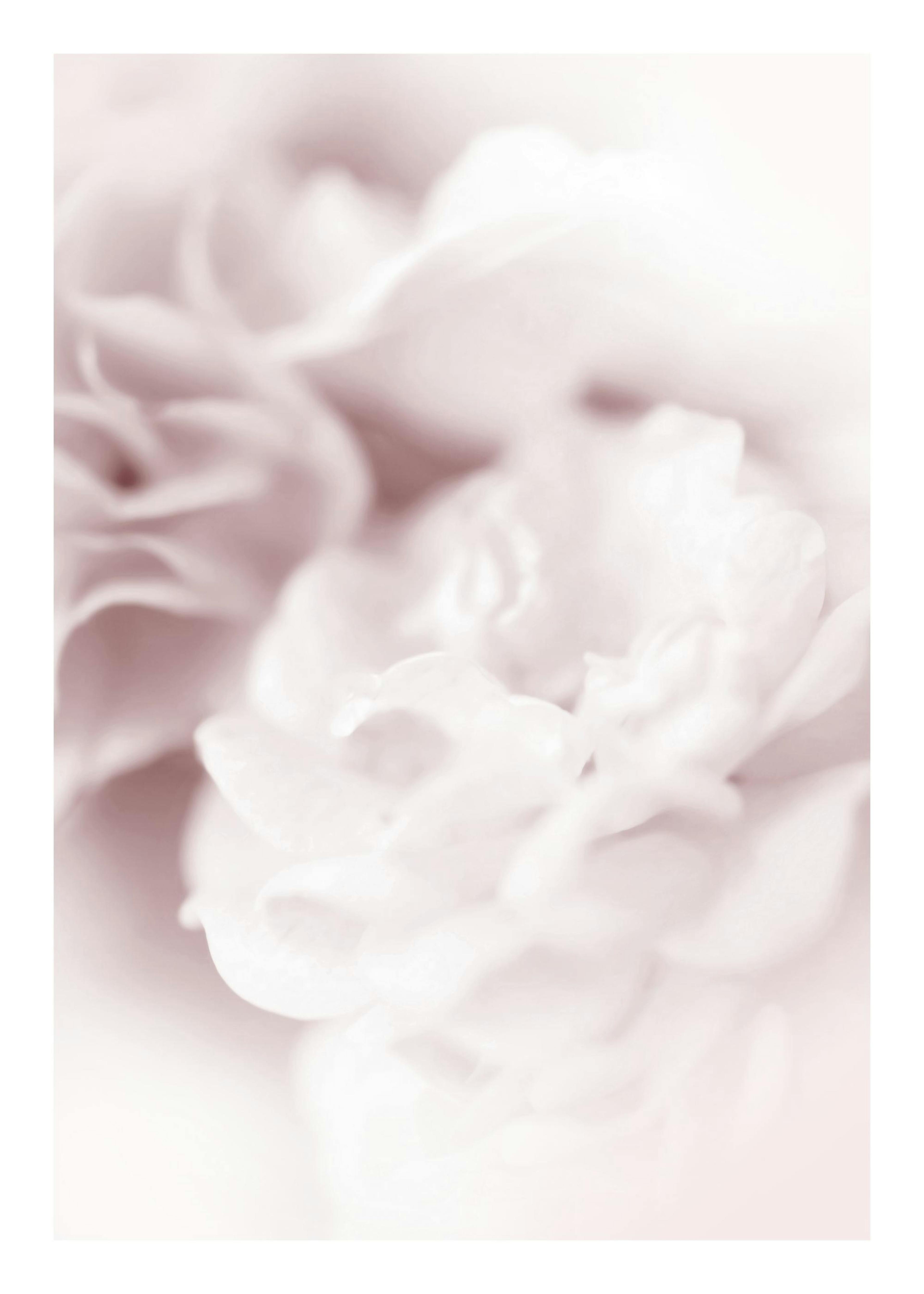 Un poster floral flou, aux tons doux et apaisants de beige et de blanc, créant une ambiance zen.