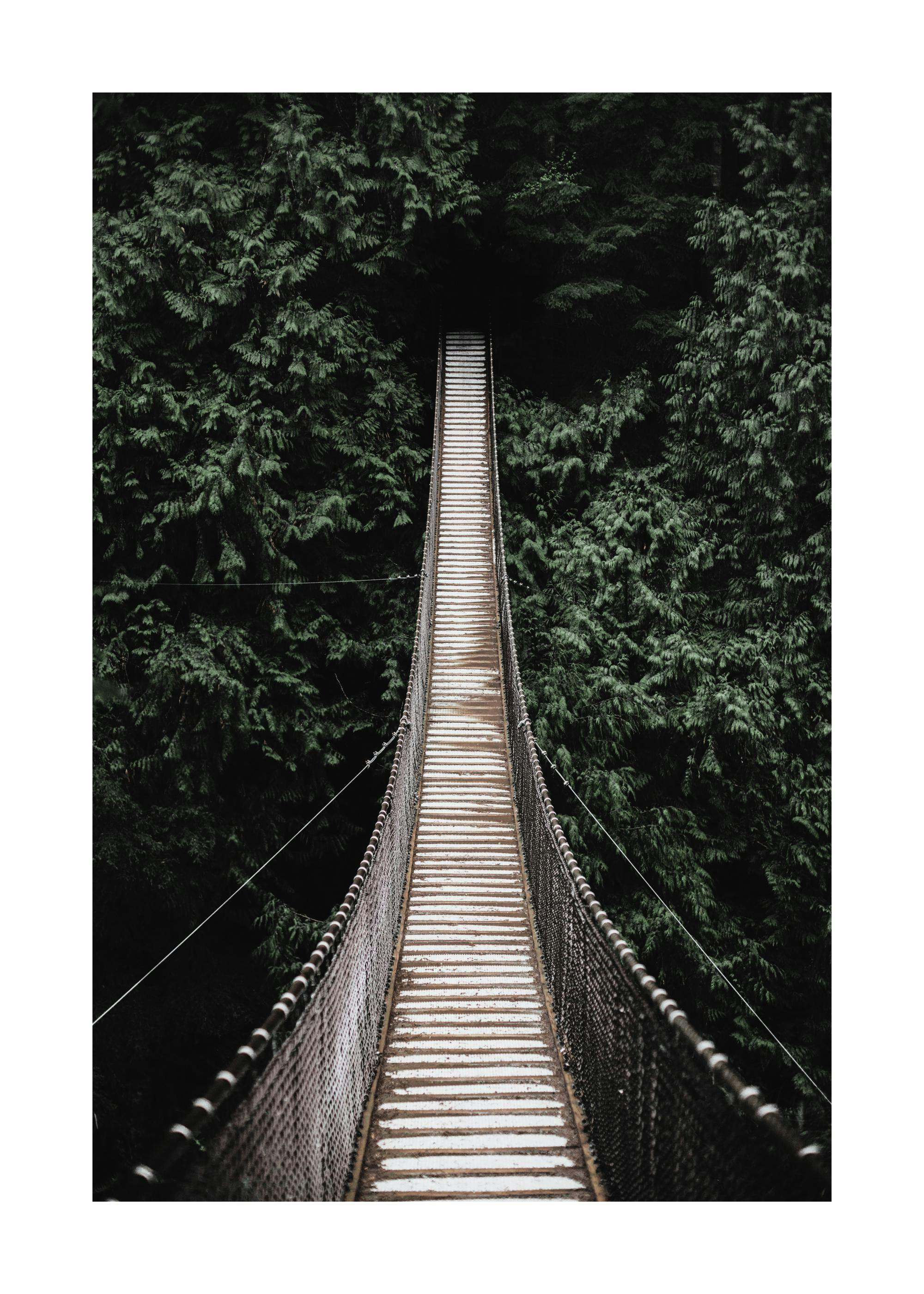 A poster featuring a long, narrow suspension bridge stretching into a dark forest, surrounded by dense green trees.