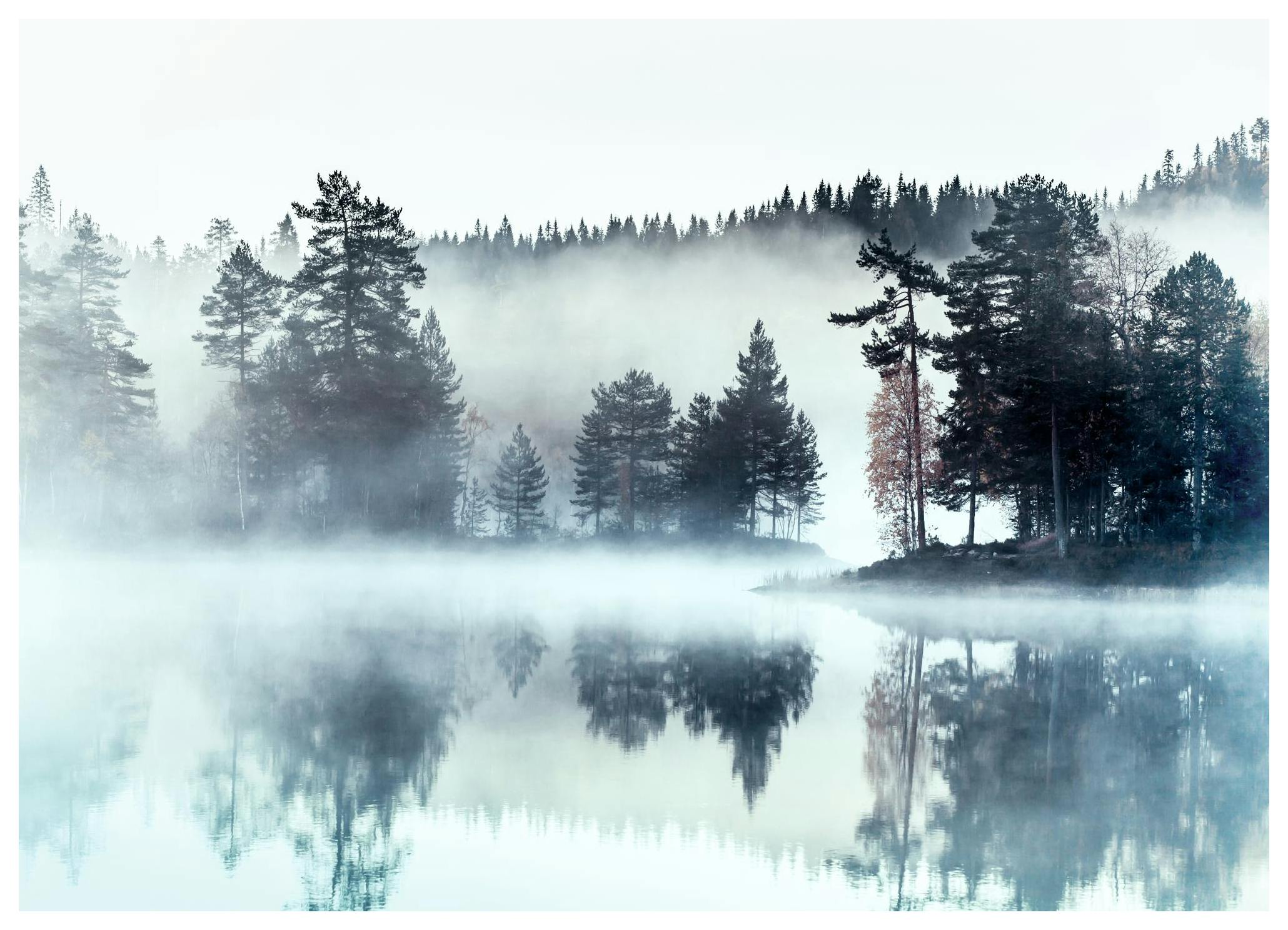 Foggy Lake Poster (30x40 cm) - Poster Store