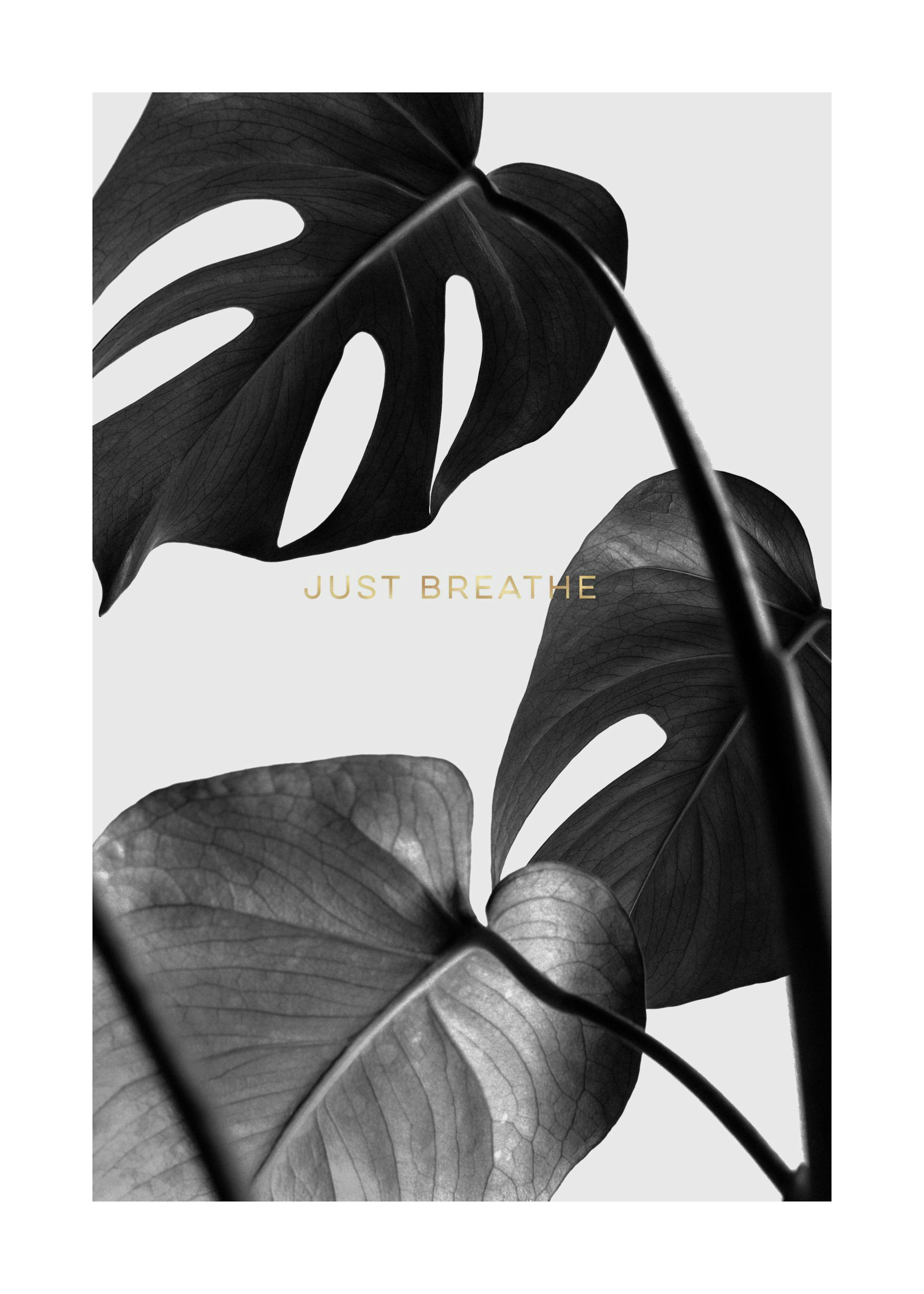 Product image: 1