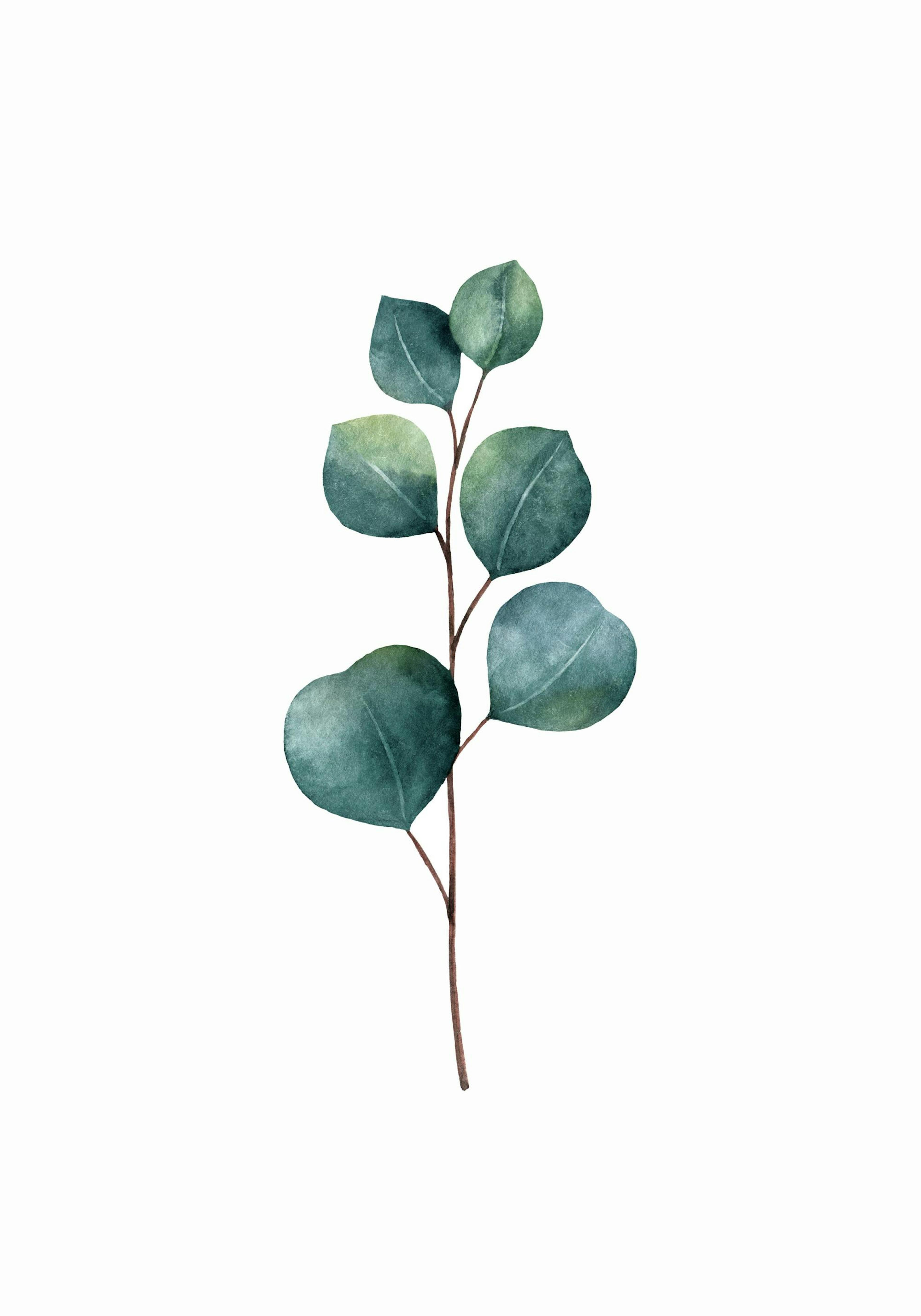Product image: 1