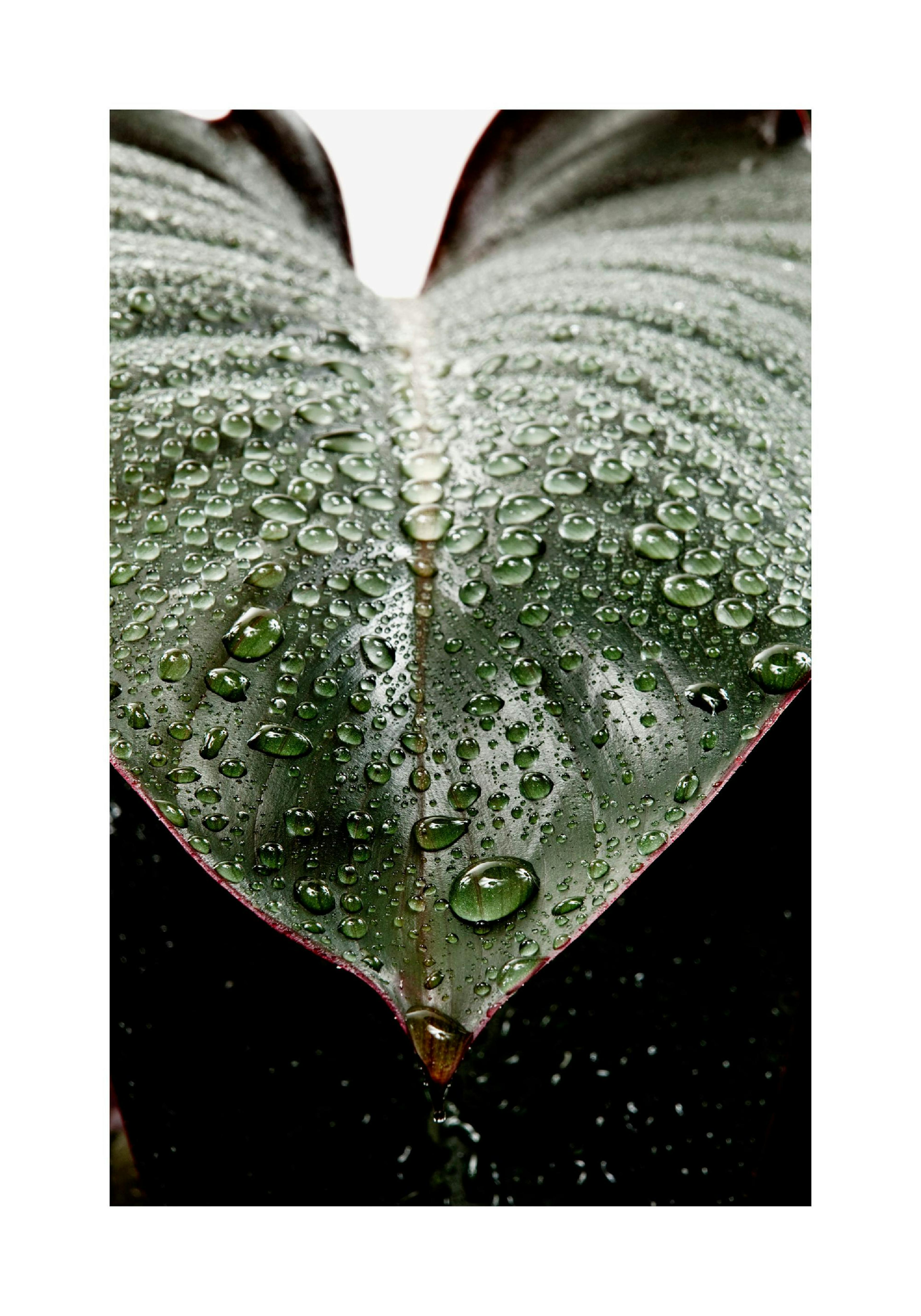 Product image: 1