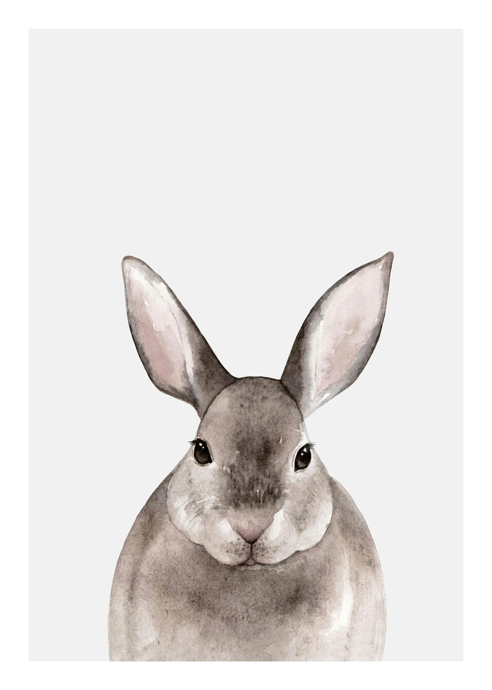 Poster mit einem Aquarell-Hasen, der frontal in die Kamera blickt, vor hellem Hintergrund.