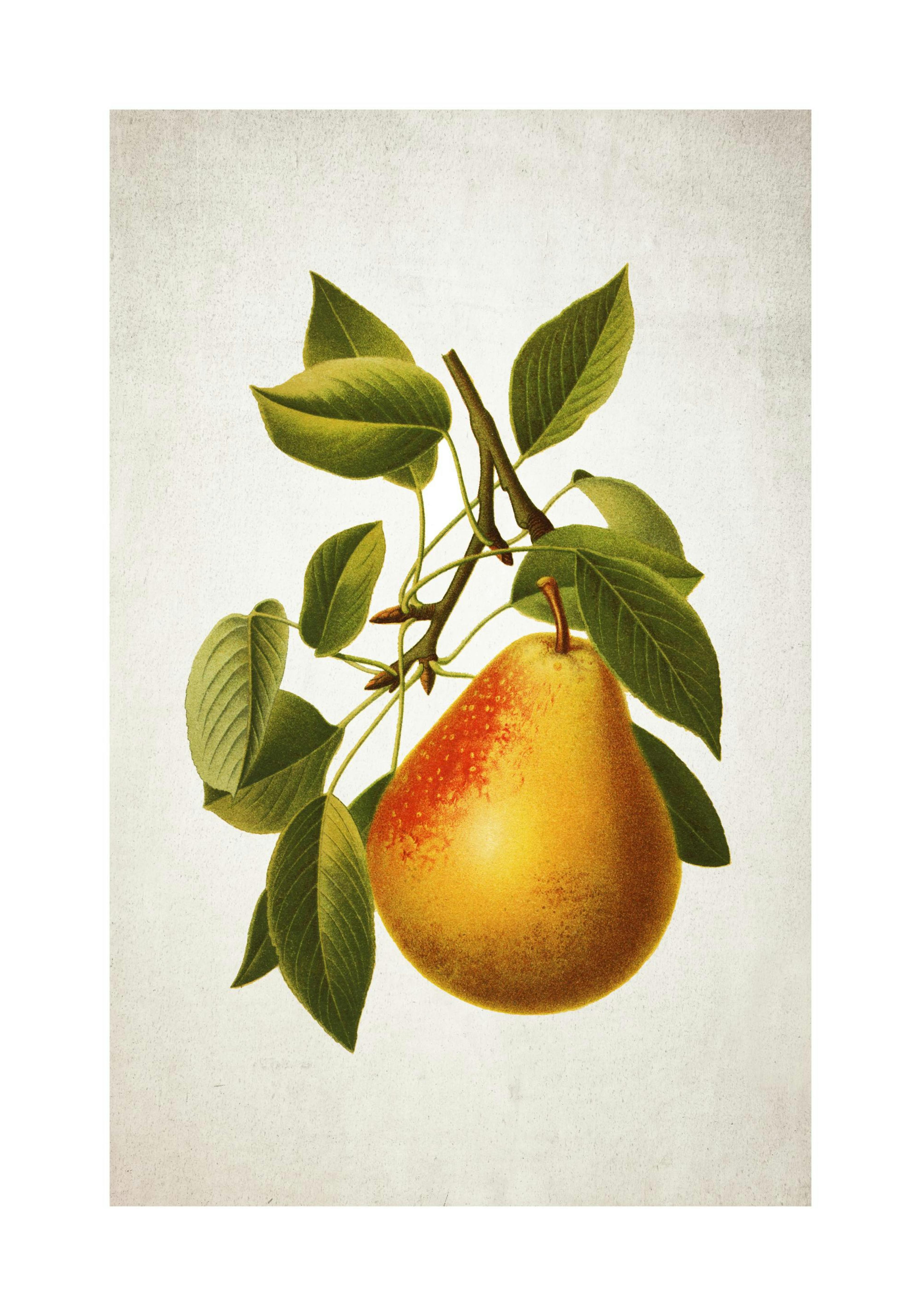 Product image: 1