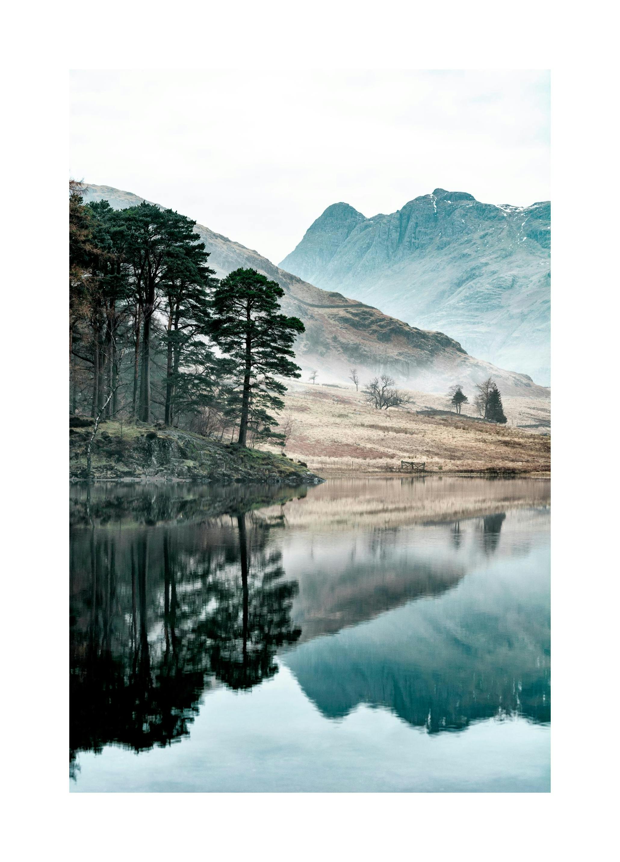 Trees by the lake Poster (21x30 cm) - Poster Store