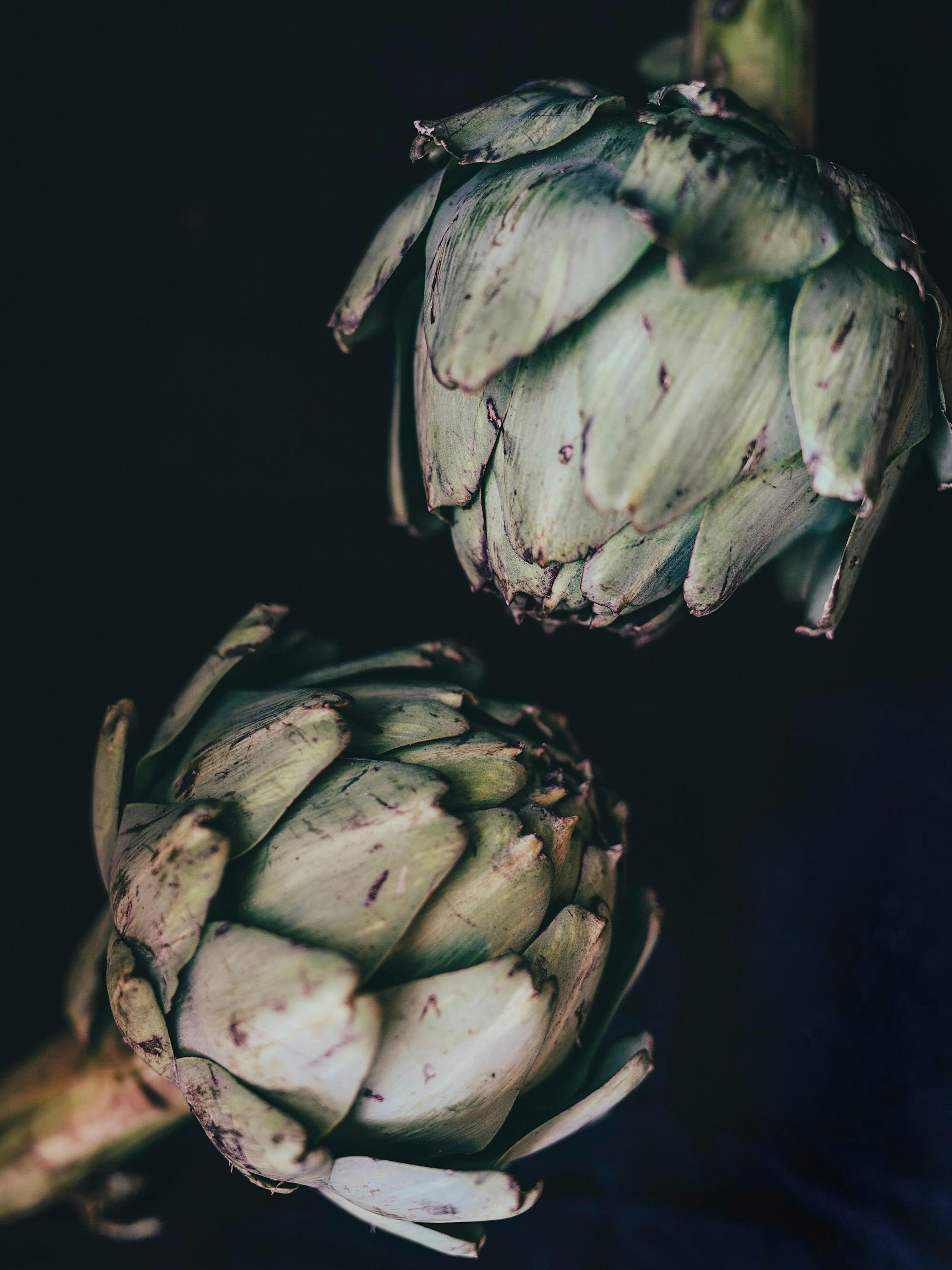 Artichokes Poster thumbnail
