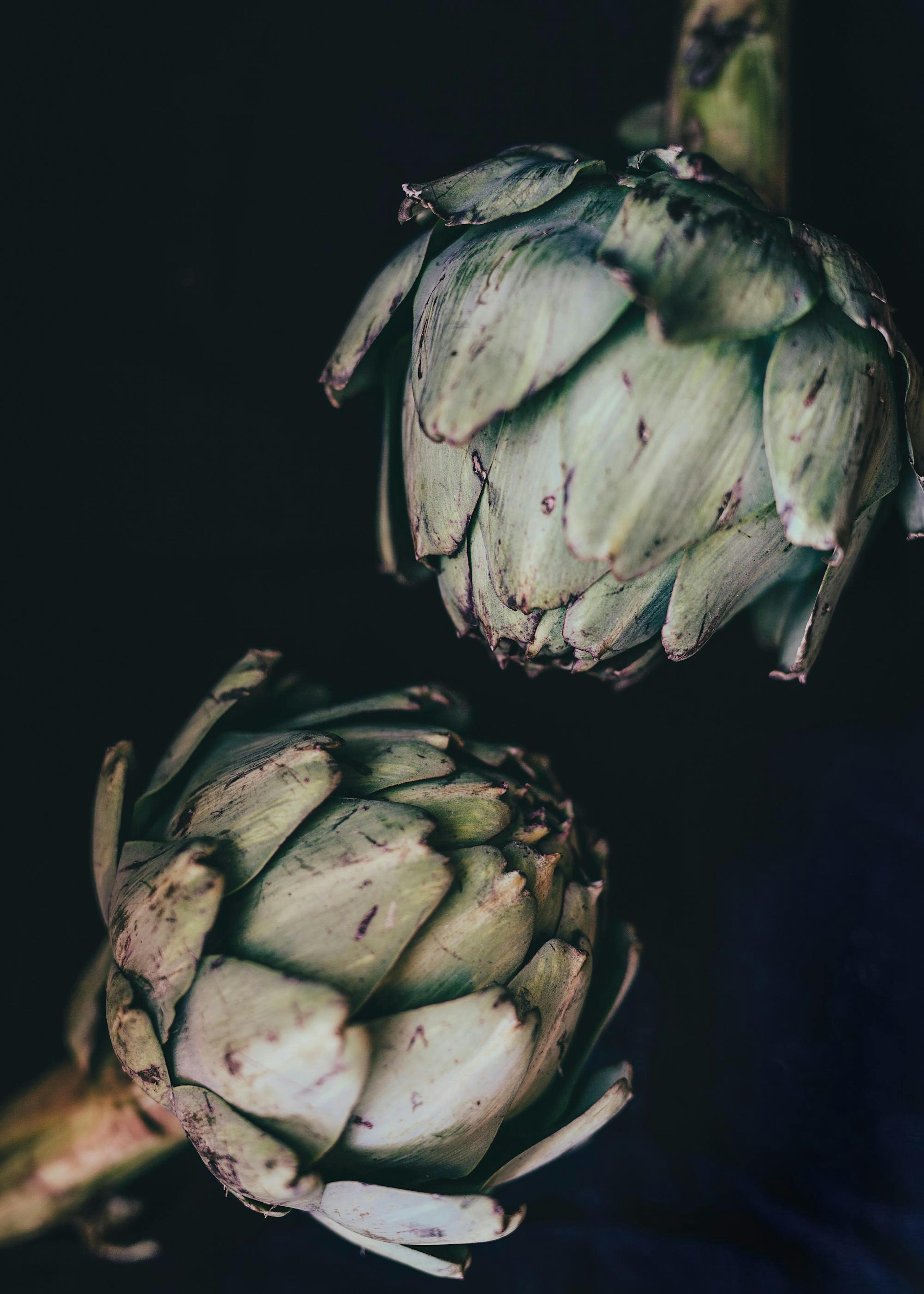 Artichokes Plakat 0
