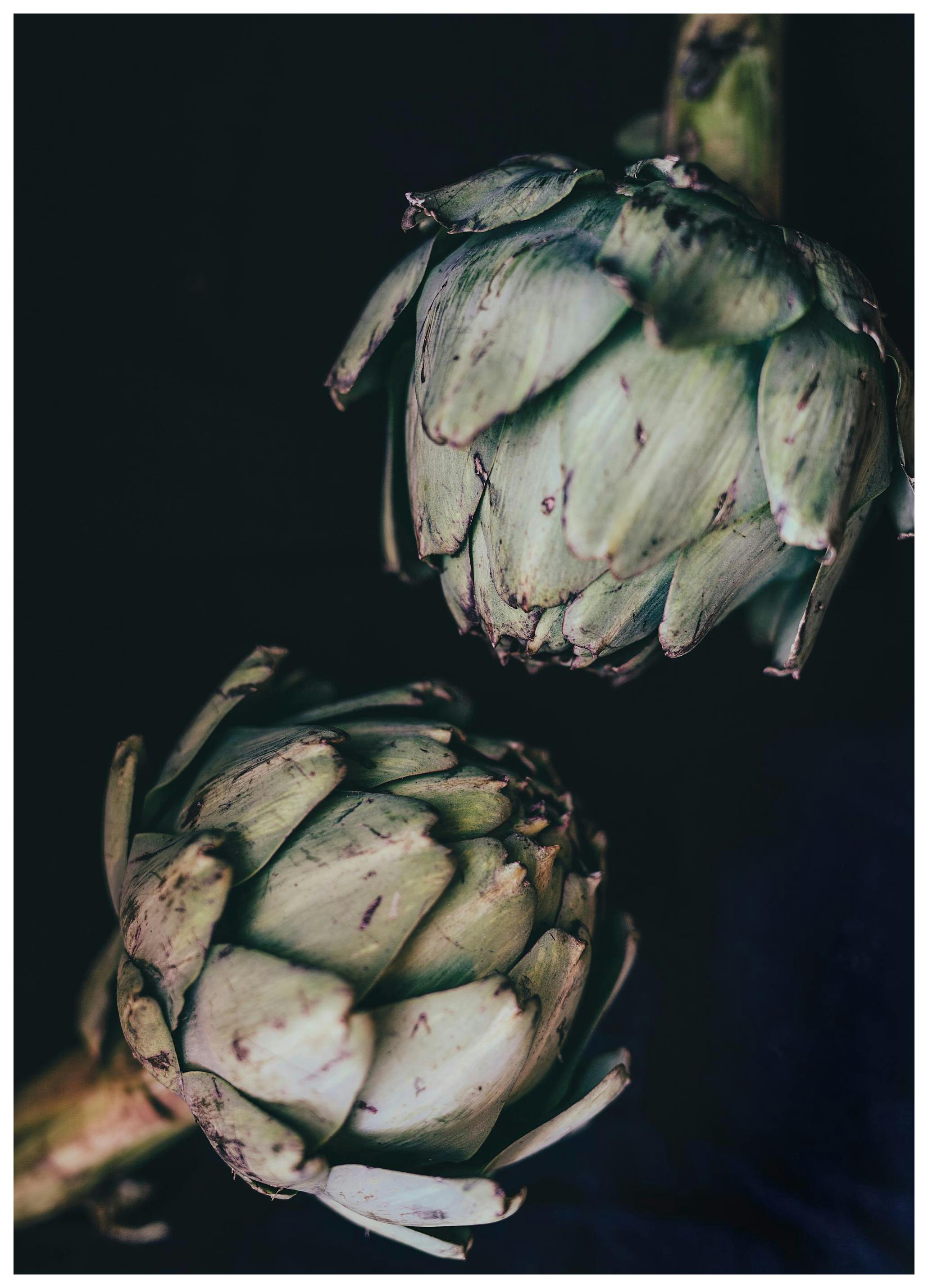 Artichokes Poster (30x40 cm) - Poster Store