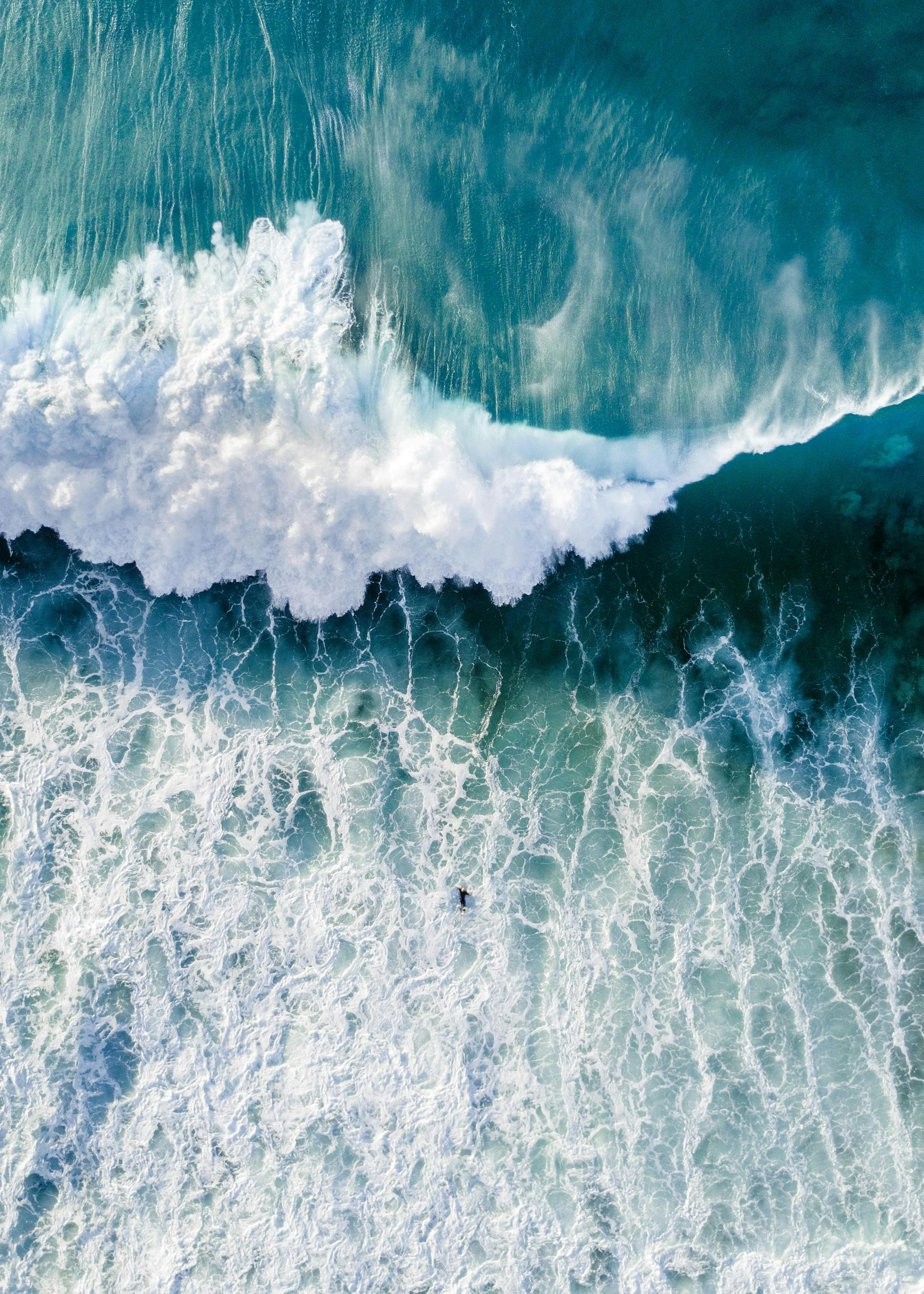 Surfers Wave. Poster 0