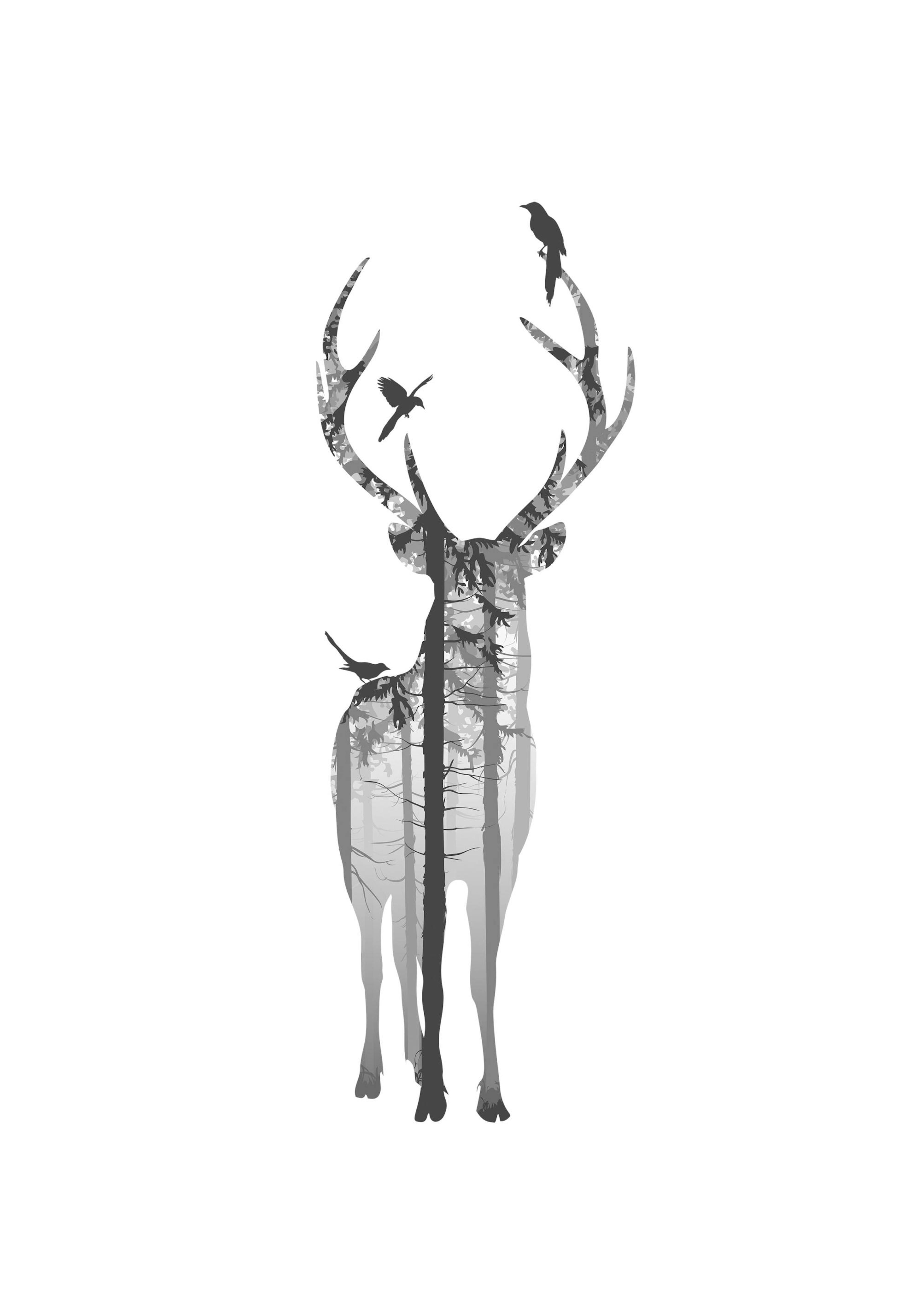 Deer Poster thumbnail