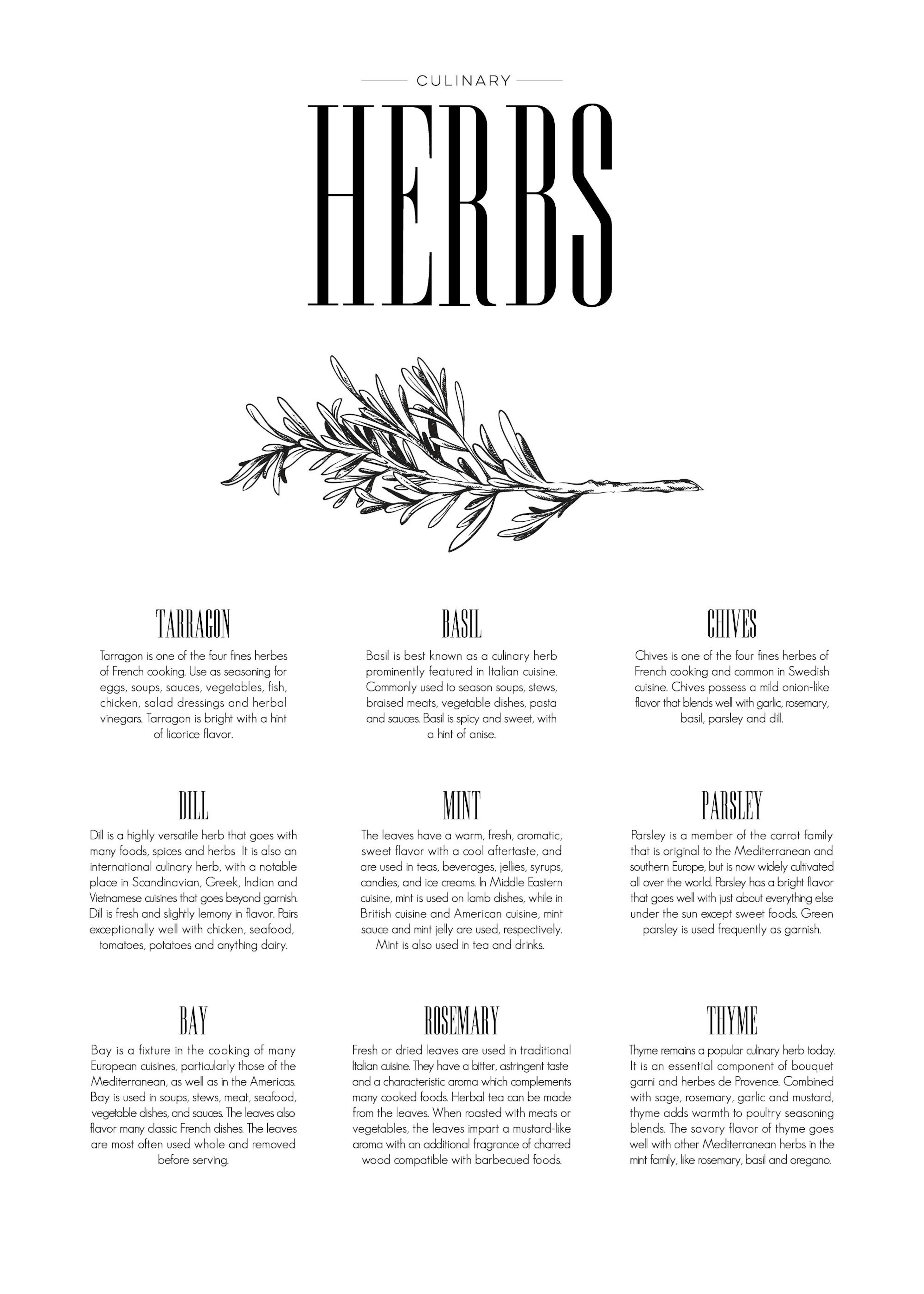 Herbs Type, Poster 0