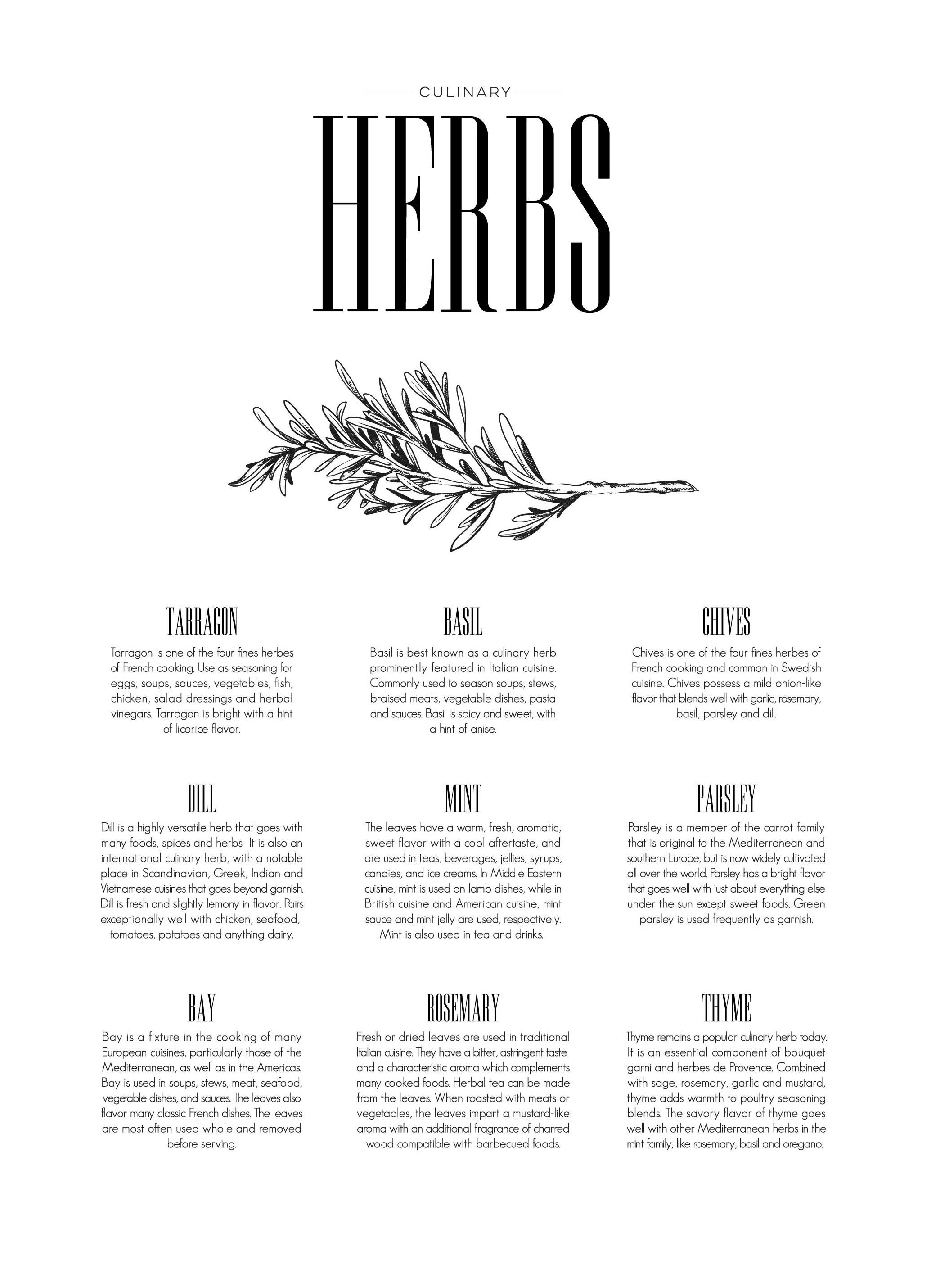Herbes Type Poster (50x70 cm) - Poster Store